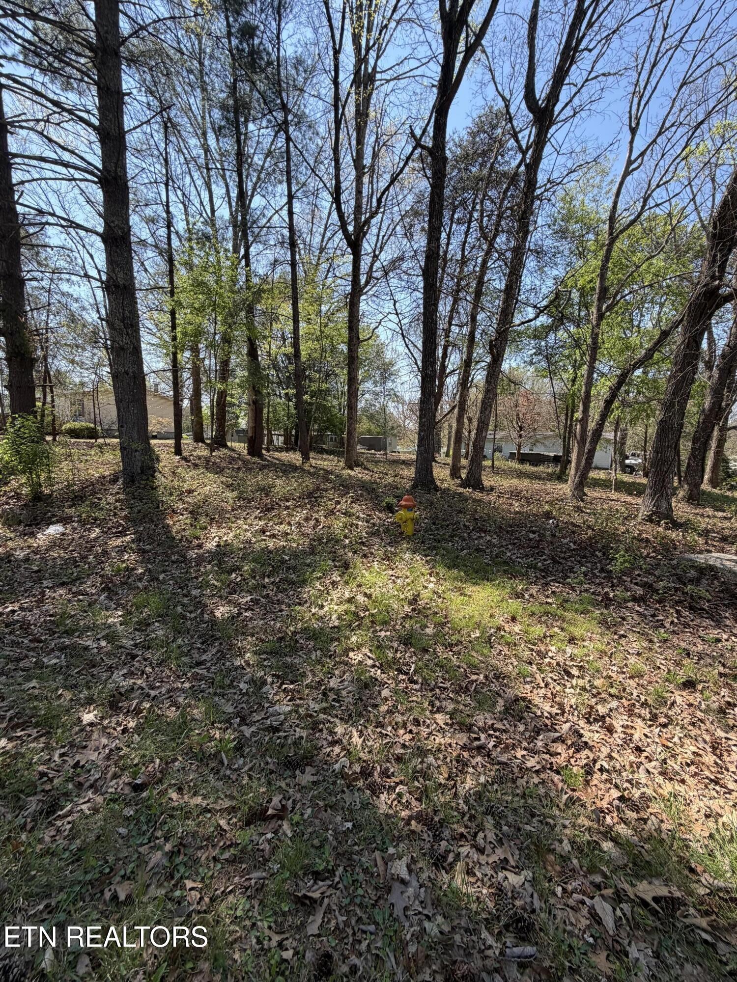 319 Dartmoor Drive Crossville TN 38558