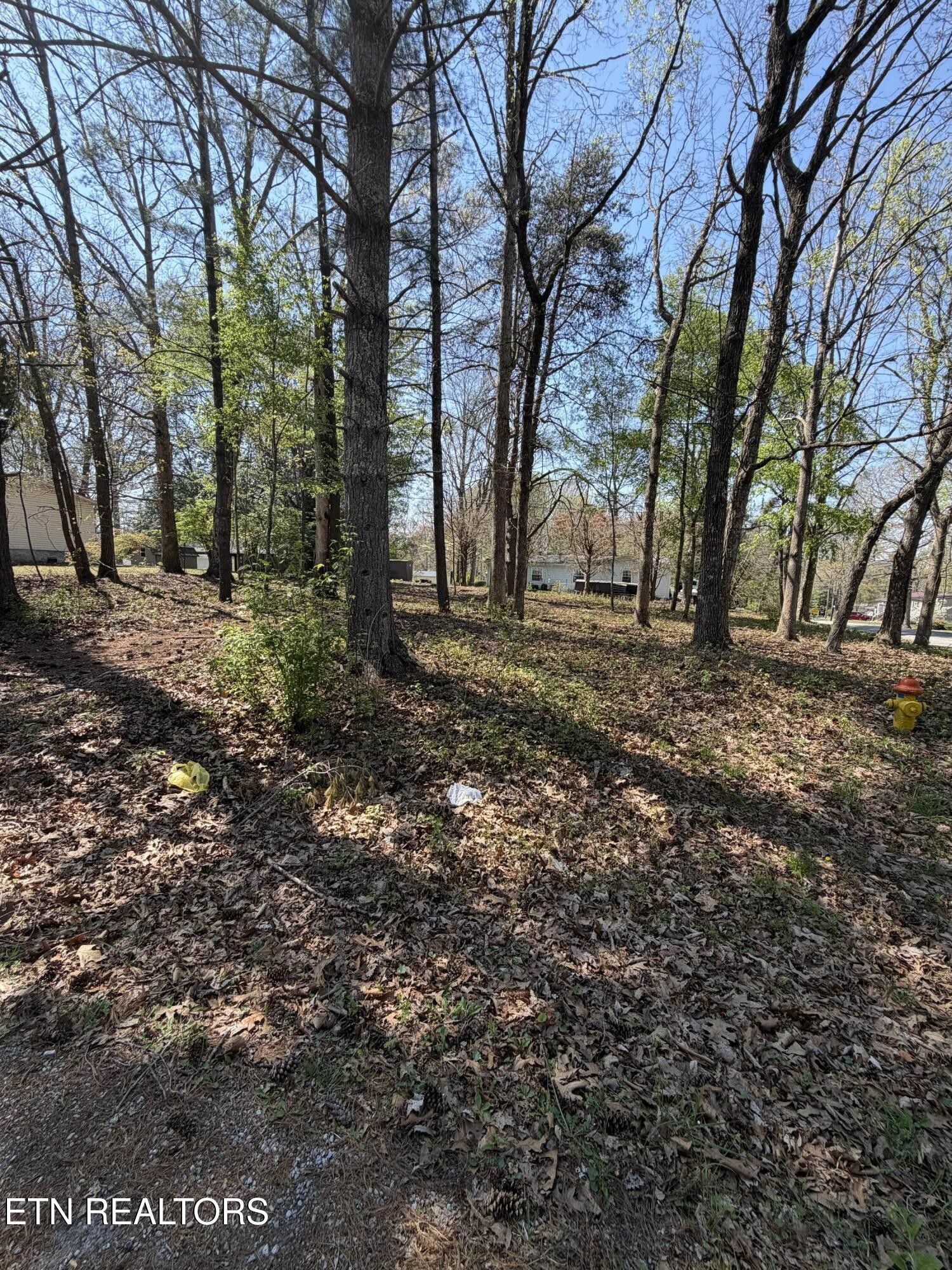 319 Dartmoor Drive Crossville TN 38558