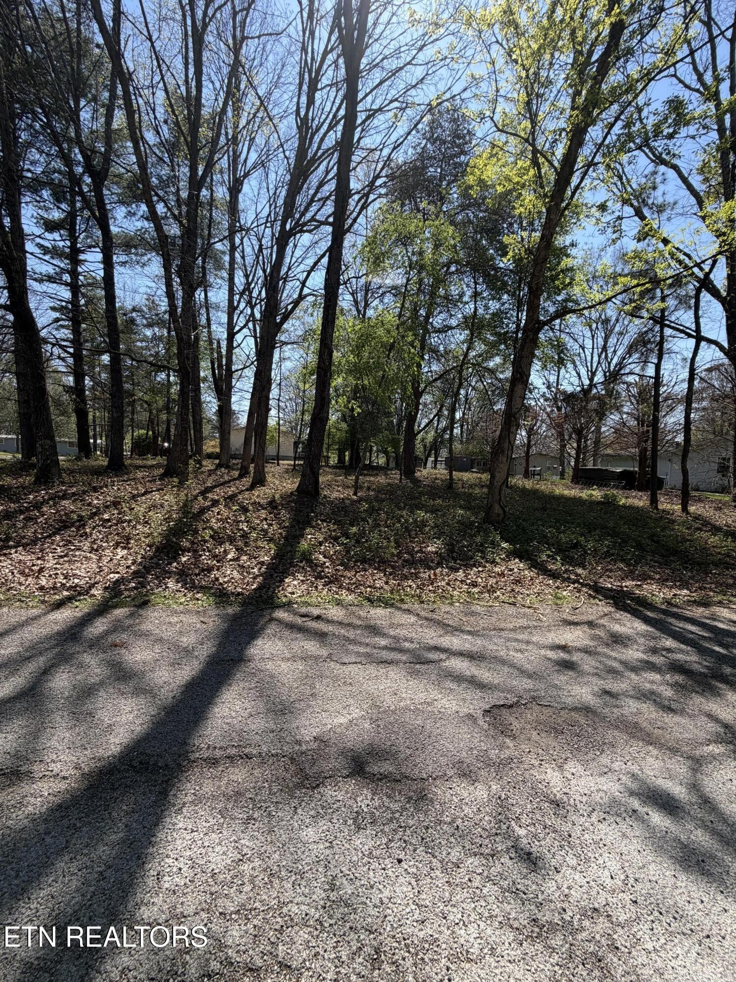 319 Dartmoor Drive Crossville TN 38558