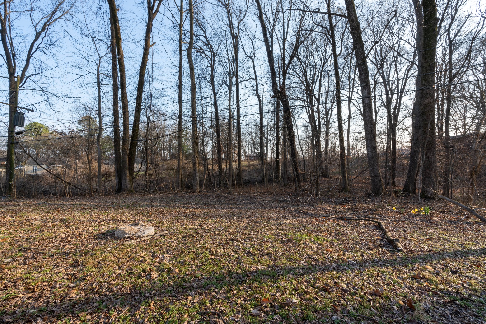 26 Chestnut Drive Clarksville TN 37042