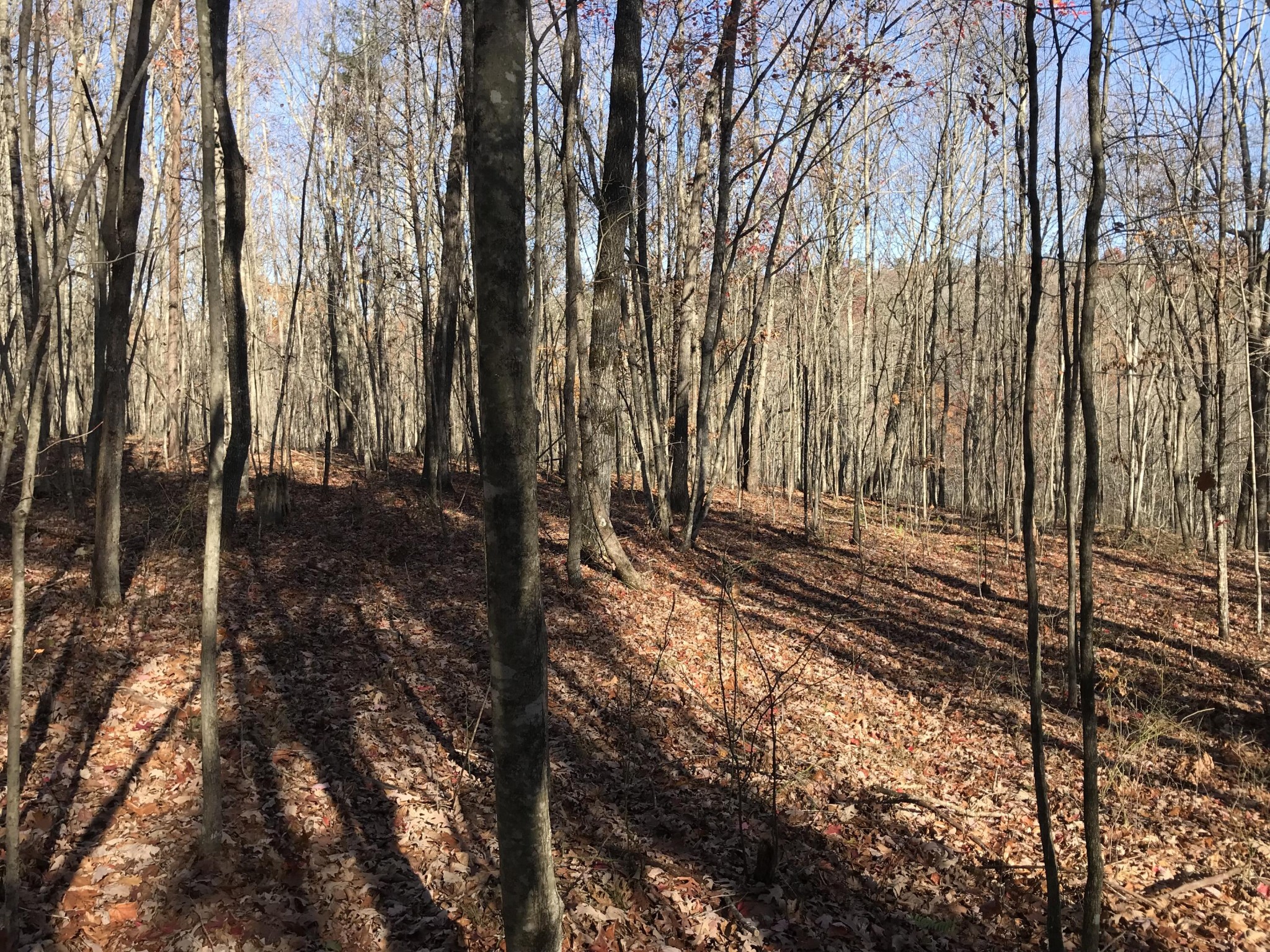 1 Hobbstown Road Dunlap TN 37327
