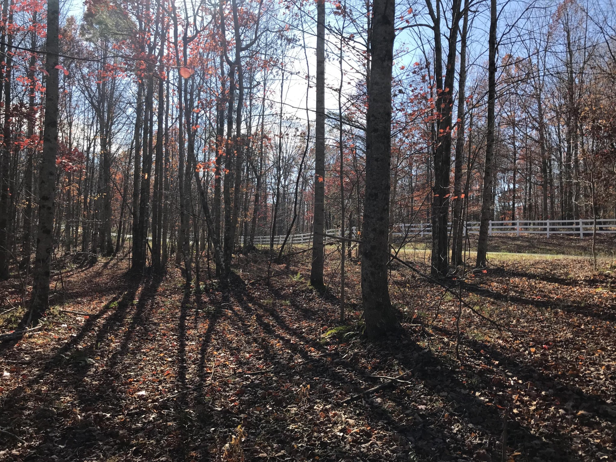 1 Hobbstown Road Dunlap TN 37327