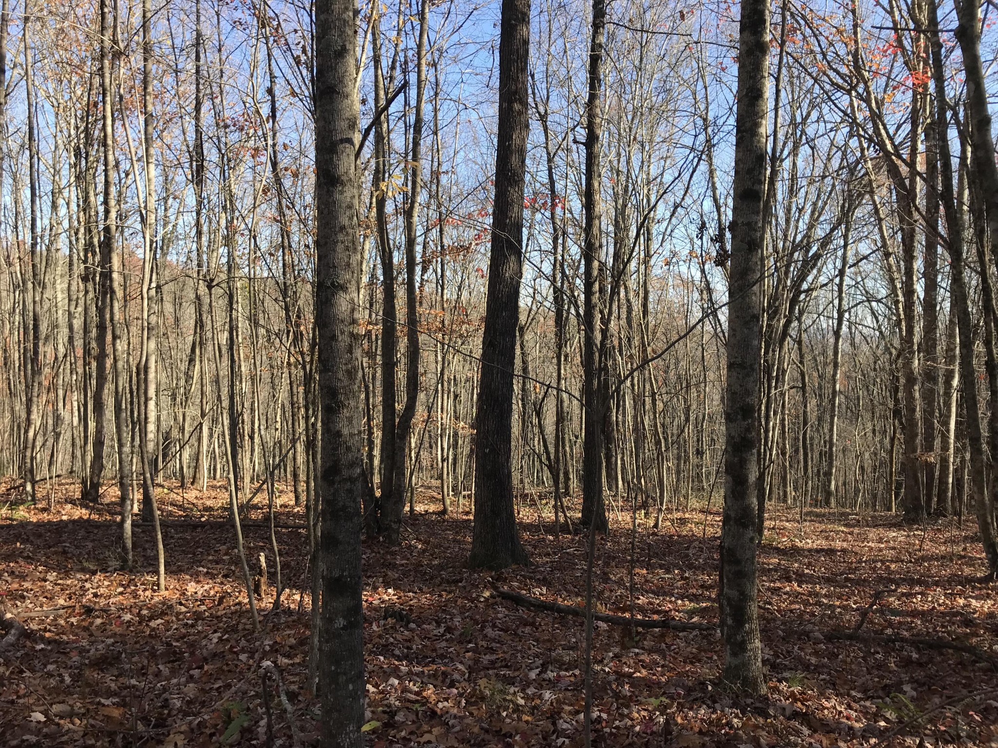 1 Hobbstown Road Dunlap TN 37327