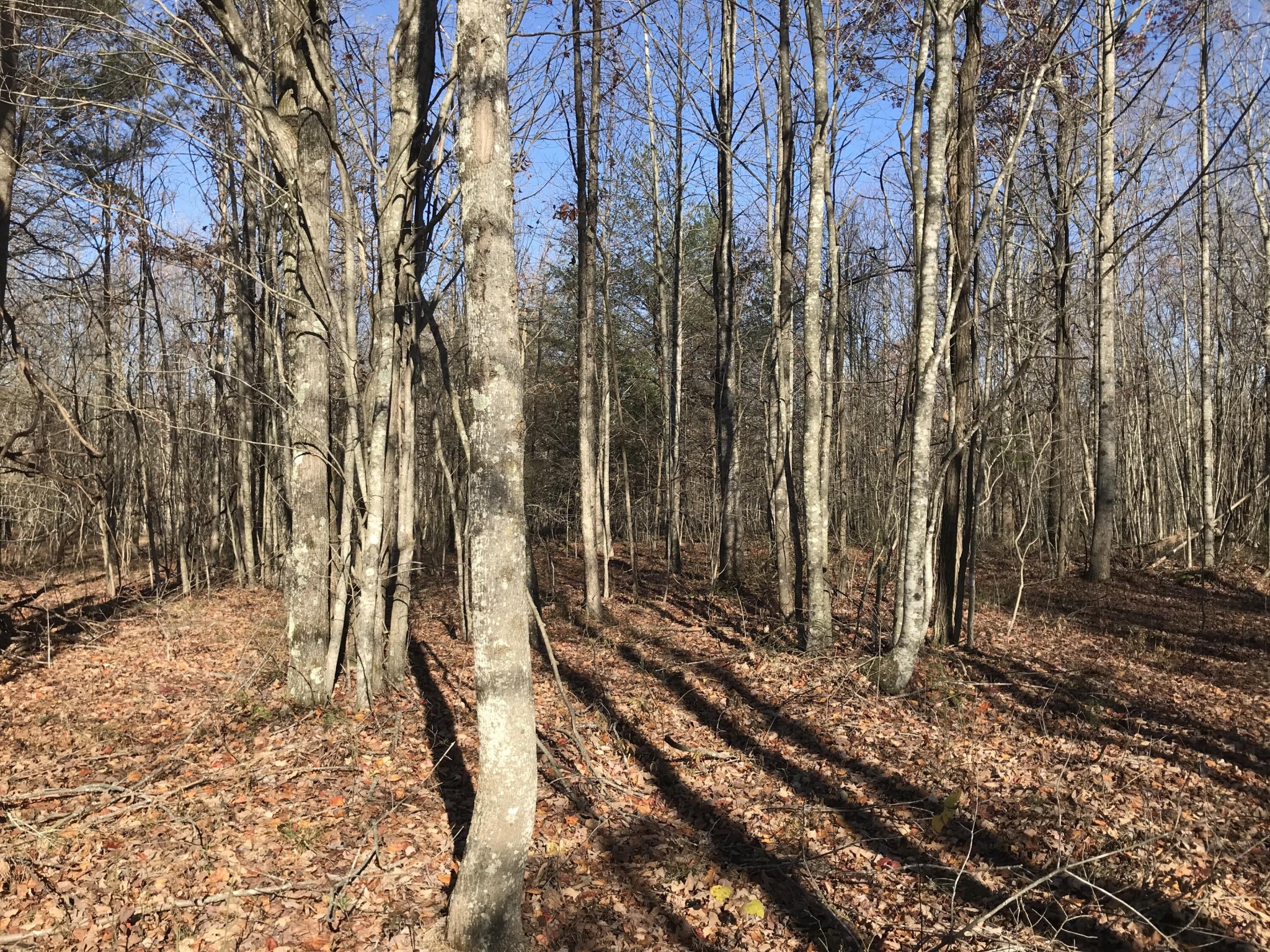 1 Hobbstown Road Dunlap TN 37327