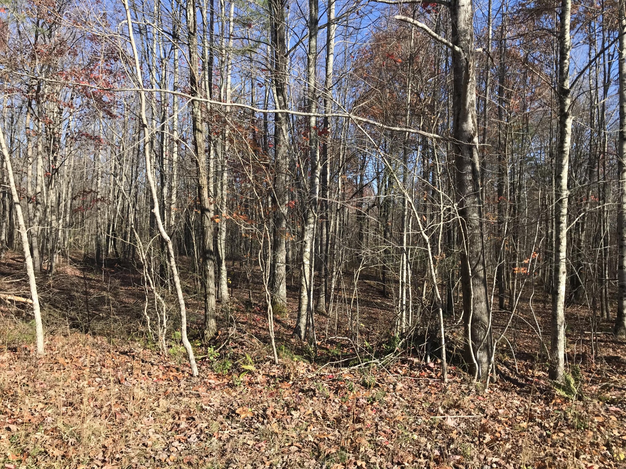 1 Hobbstown Road Dunlap TN 37327