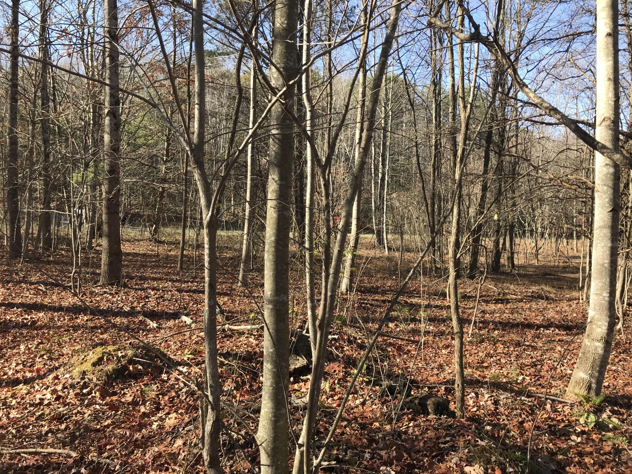 1 Hobbstown Road Dunlap TN 37327