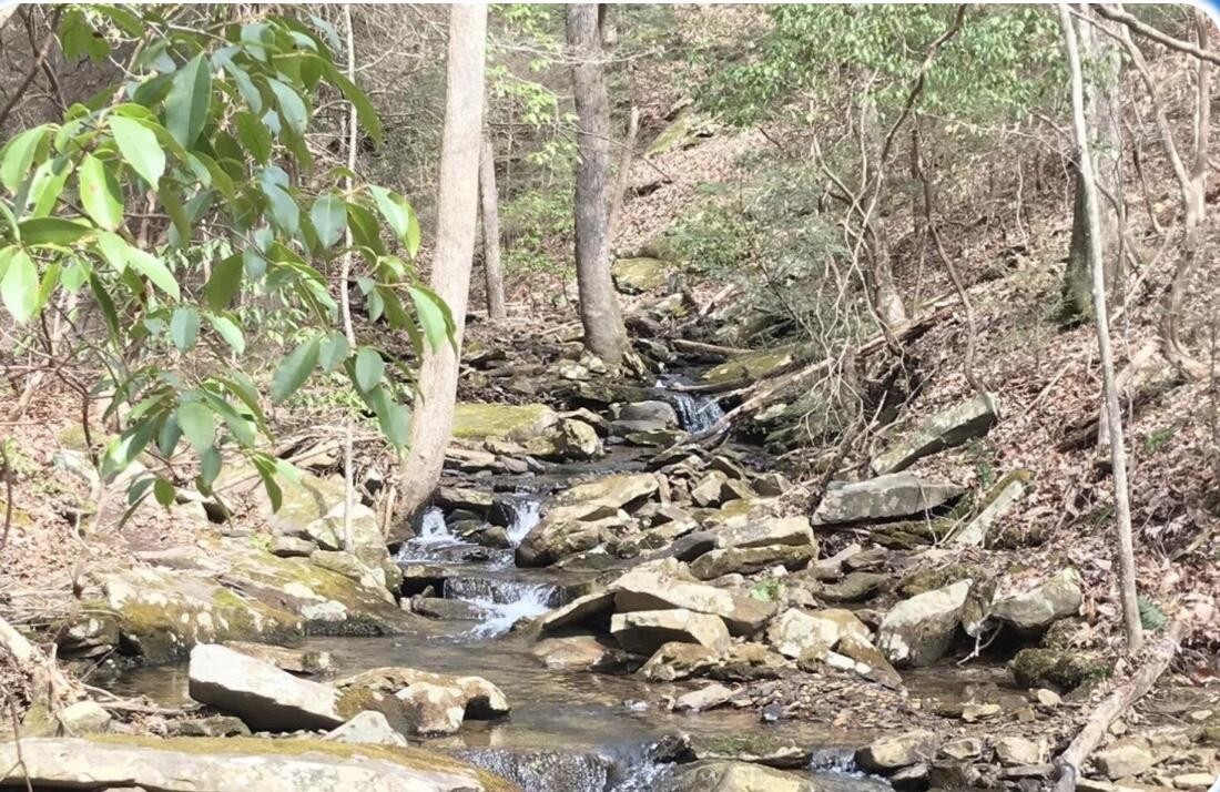 1 Hobbstown Road Dunlap TN 37327