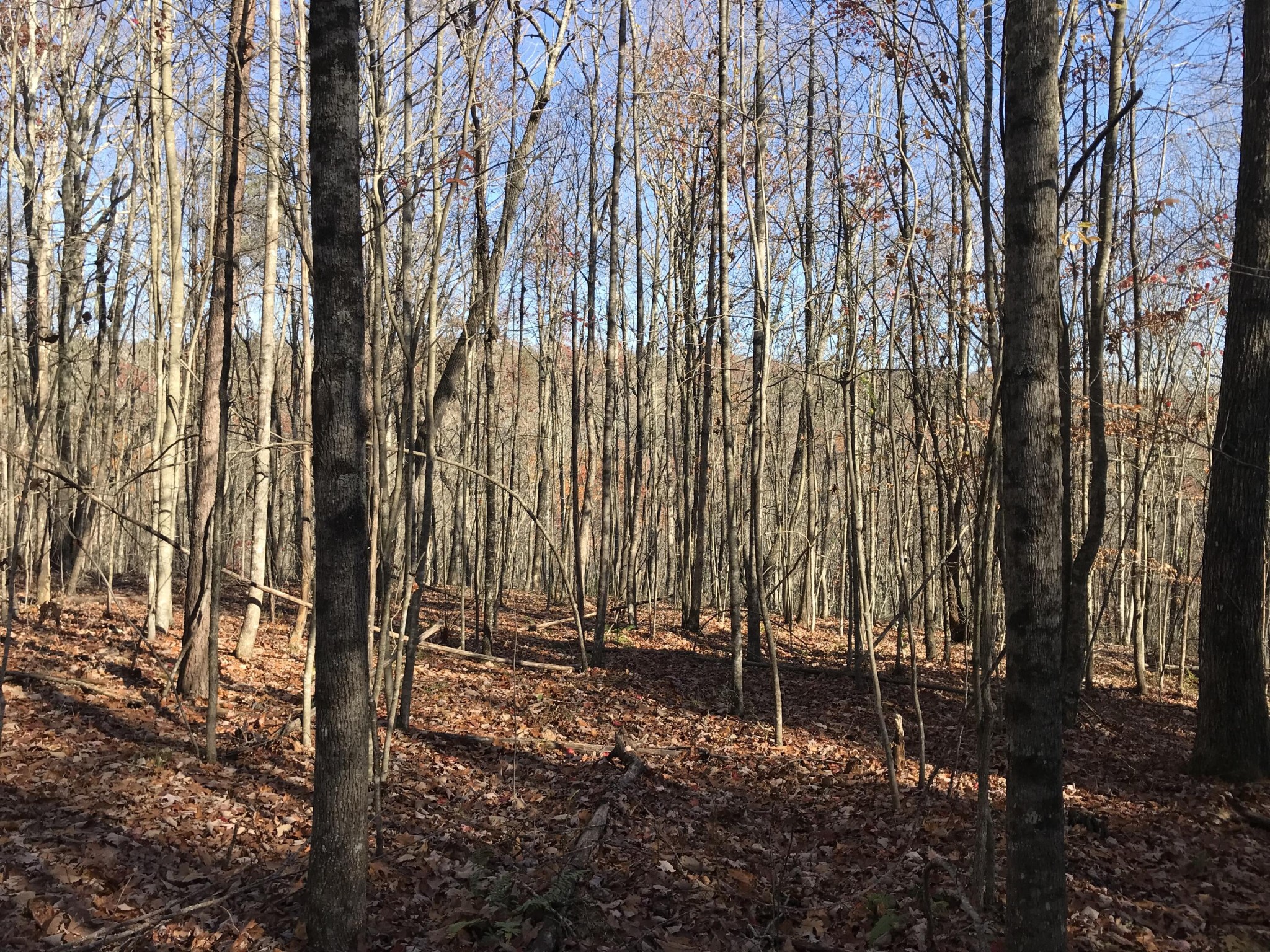 1 Hobbstown Road Dunlap TN 37327