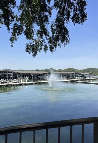 160 Anderton Drive Winchester TN 37398