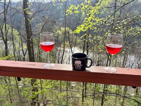 8045 Sarah Thomas Road Silver Point TN 38582