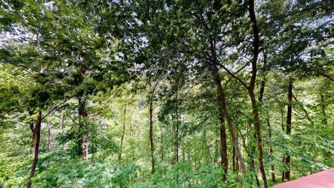 8045 Sarah Thomas Road Silver Point TN 38582