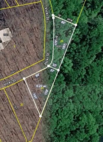 8045 Sarah Thomas Road Silver Point TN 38582