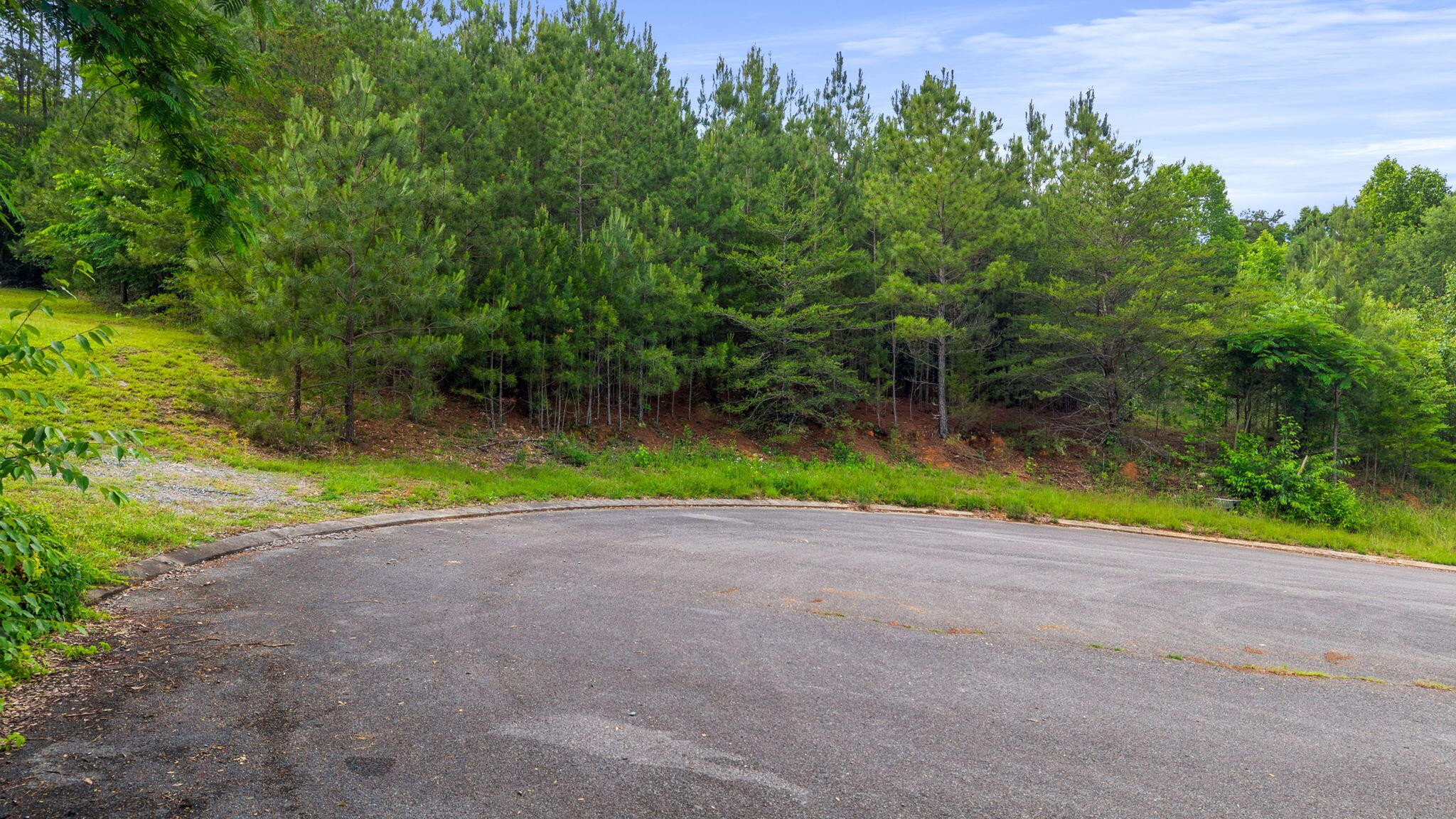 9 County Road 8 Calhoun TN 37309