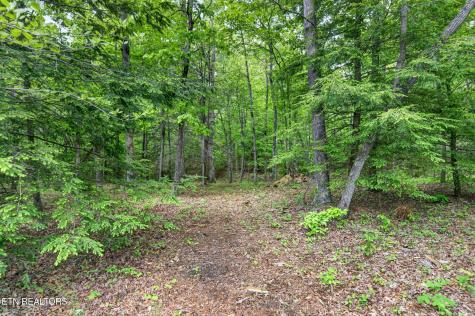704 White Oak Road Monterey TN 38574
