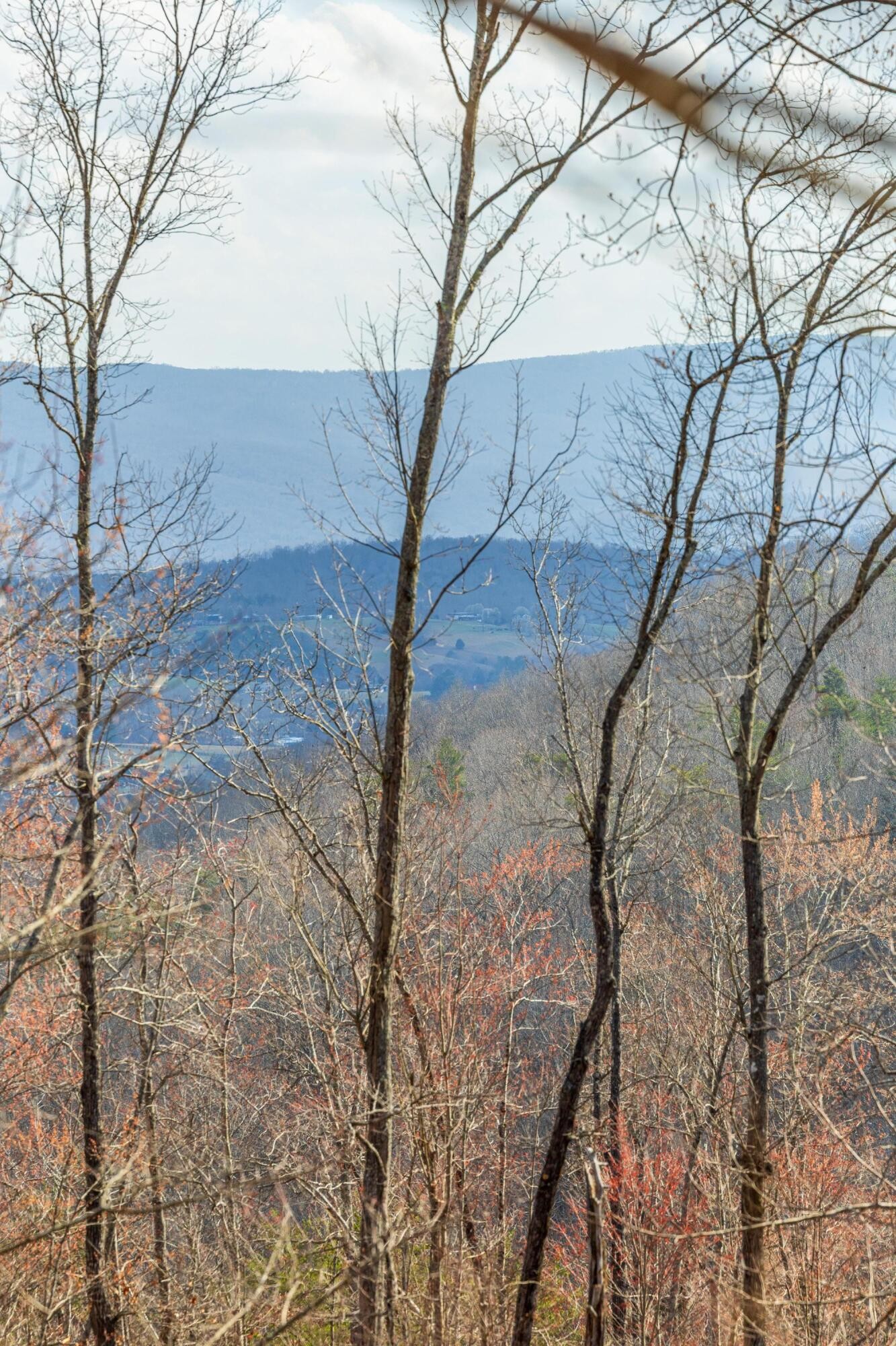 0 Lee Station Mountain Road Pikeville TN 37367