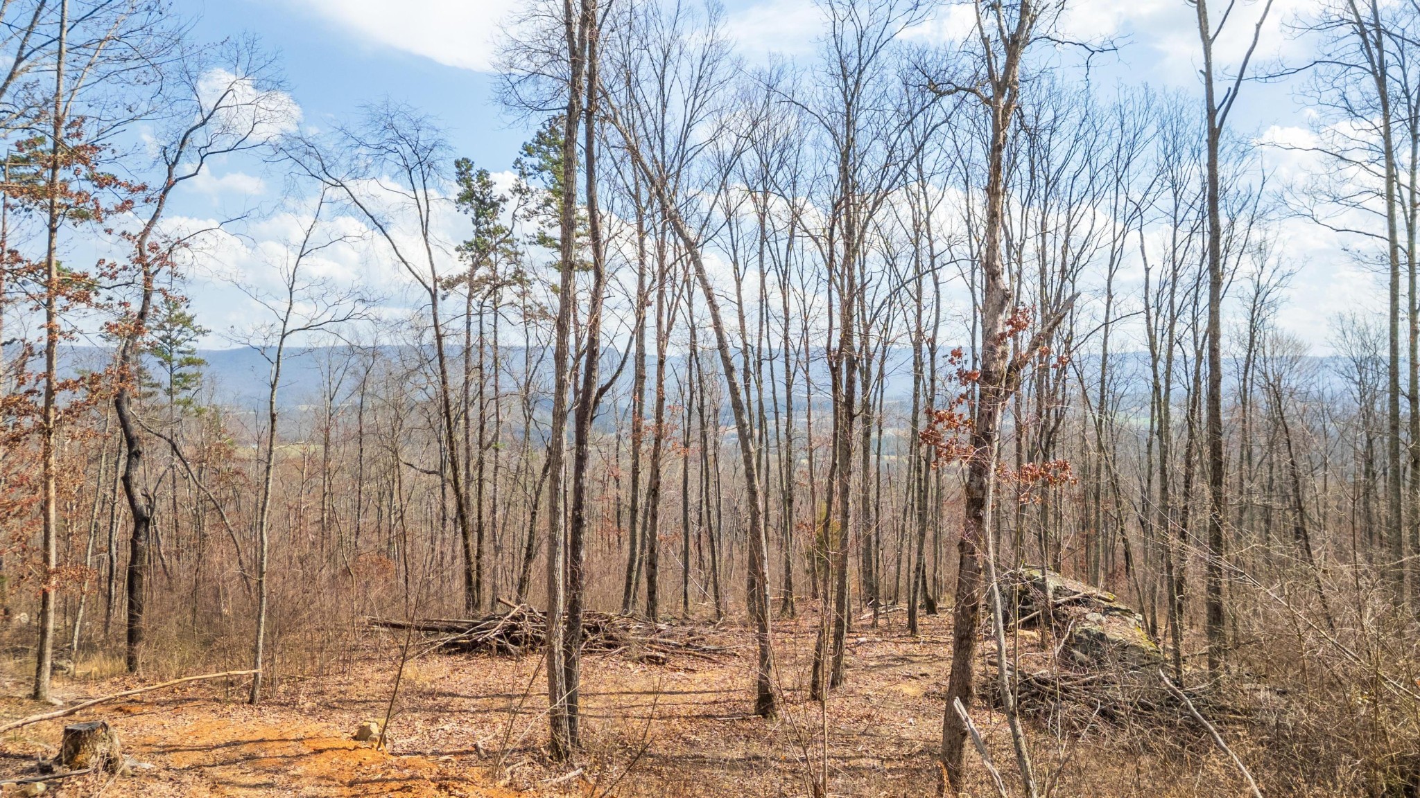 0 Lee Station Mountain Road Pikeville TN 37367