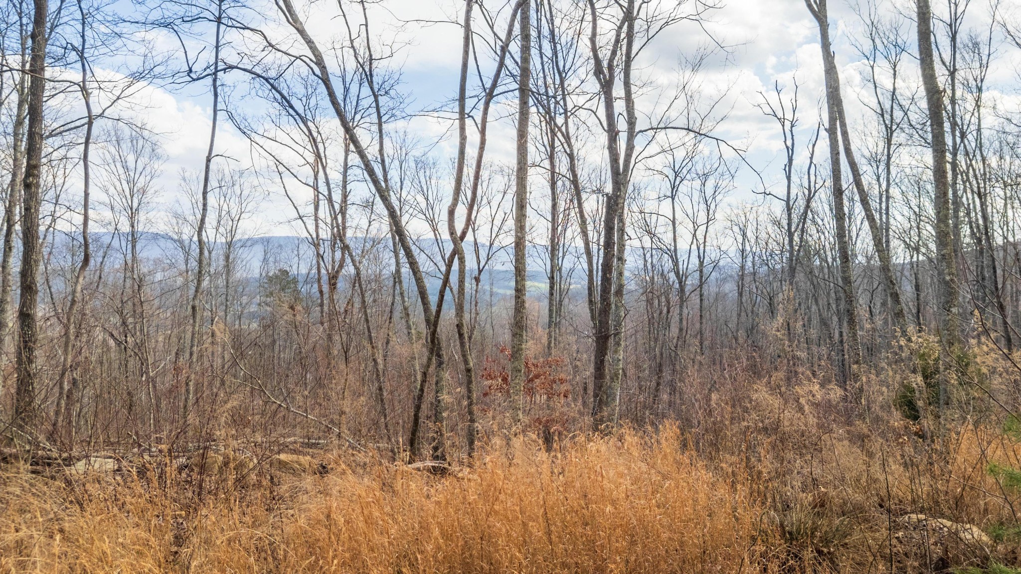 0 Lee Station Mountain Road Pikeville TN 37367