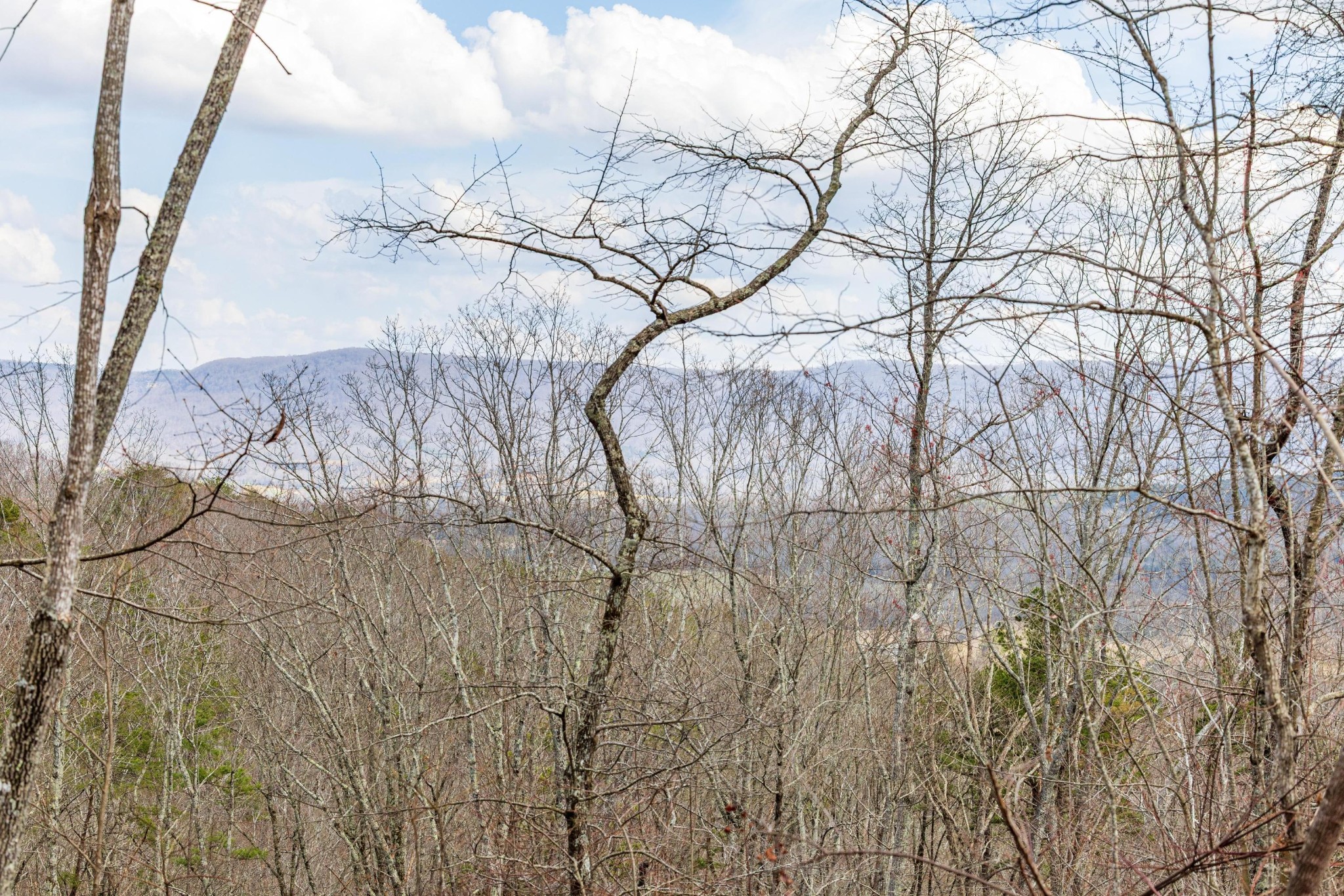 0 Lee Station Mountain Road Pikeville TN 37367