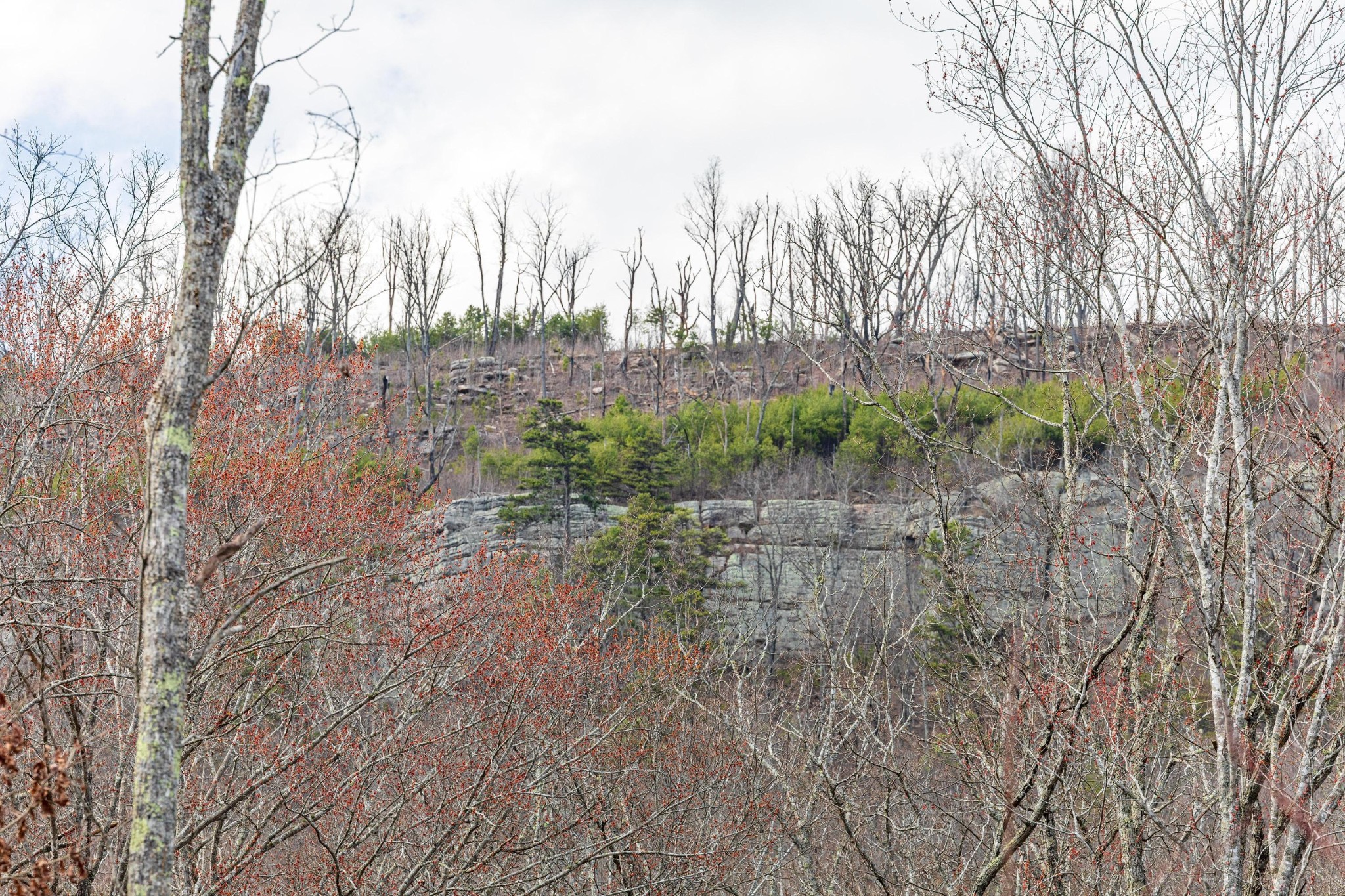 0 Lee Station Mountain Road Pikeville TN 37367