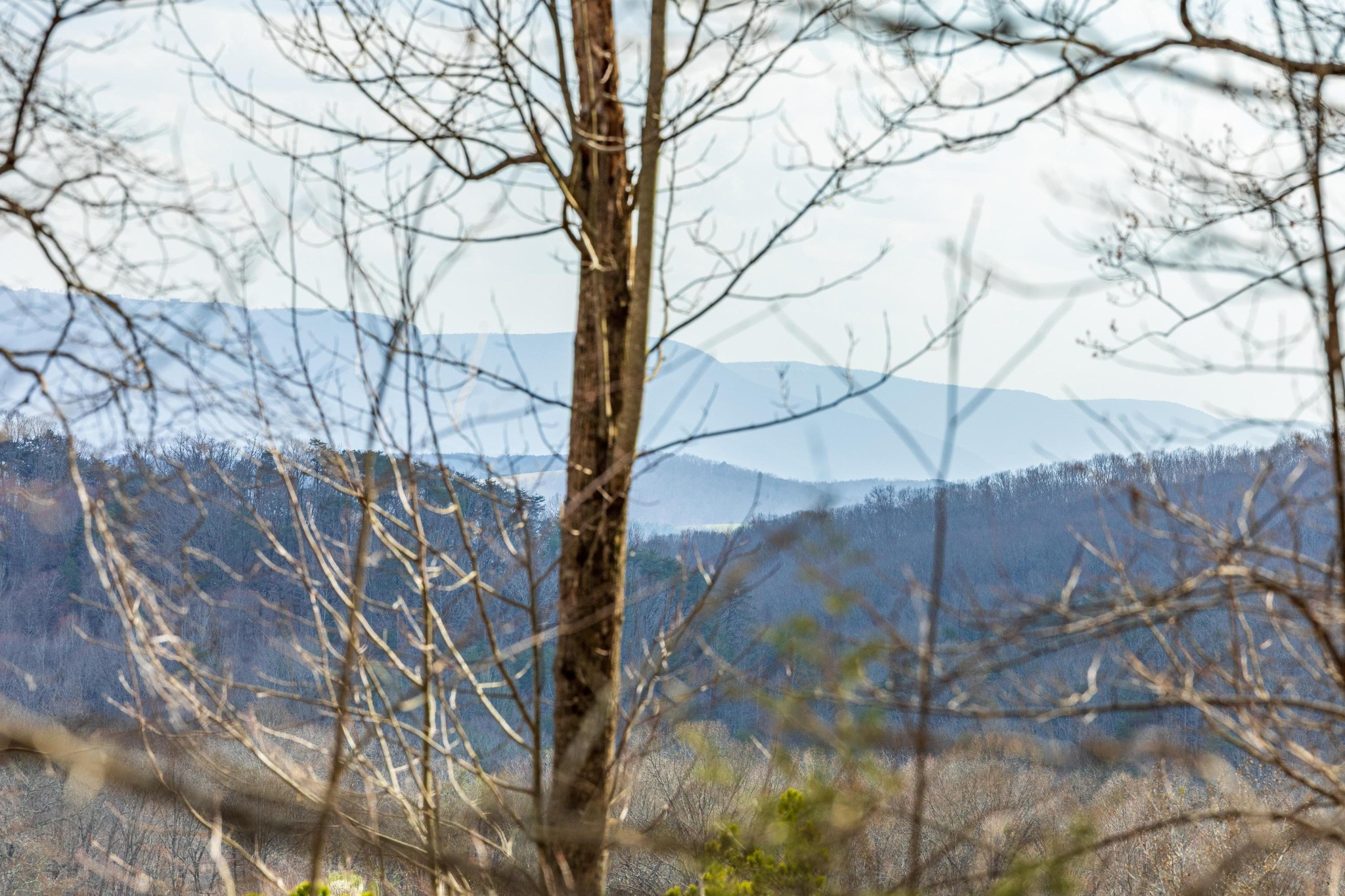 0 Lee Station Mountain Road Pikeville TN 37367