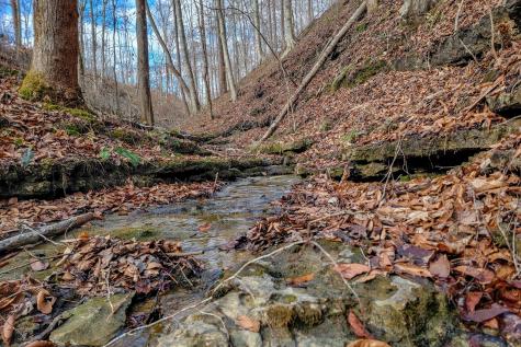 0 Hutchins Bend Road Sparta TN 38583