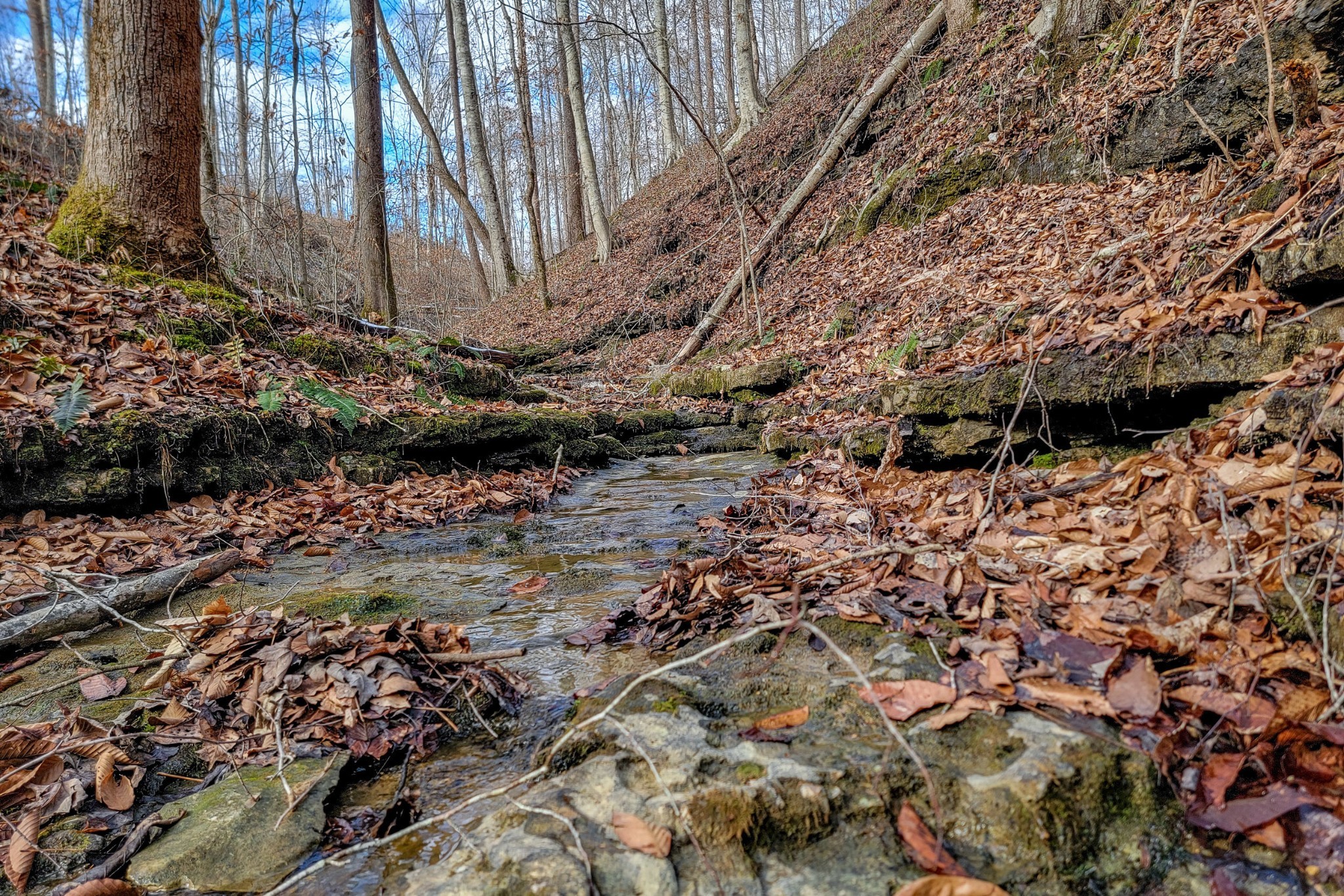 0 Hutchins Bend Road Sparta TN 38583