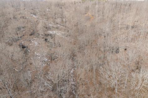 0 Hutchins Bend Road Sparta TN 38583