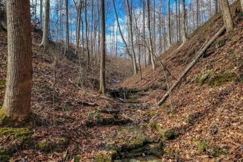 0 Hutchins Bend Road Sparta TN 38583