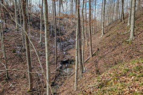 0 Hutchins Bend Road Sparta TN 38583