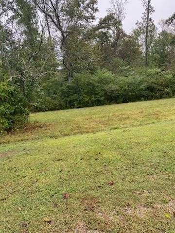 516 Munro Road Pulaski TN 38478