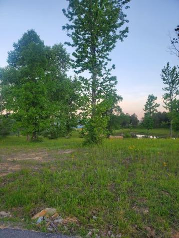 0 Misty View Court Jasper TN 37347