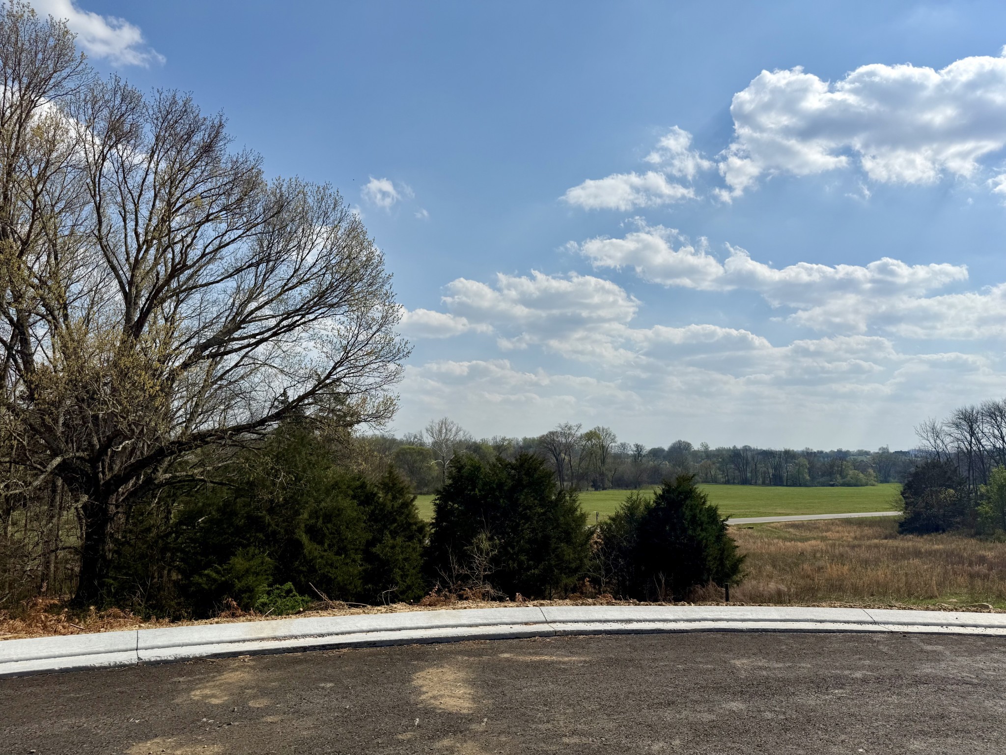 Arrington TN, 527 Divine Court