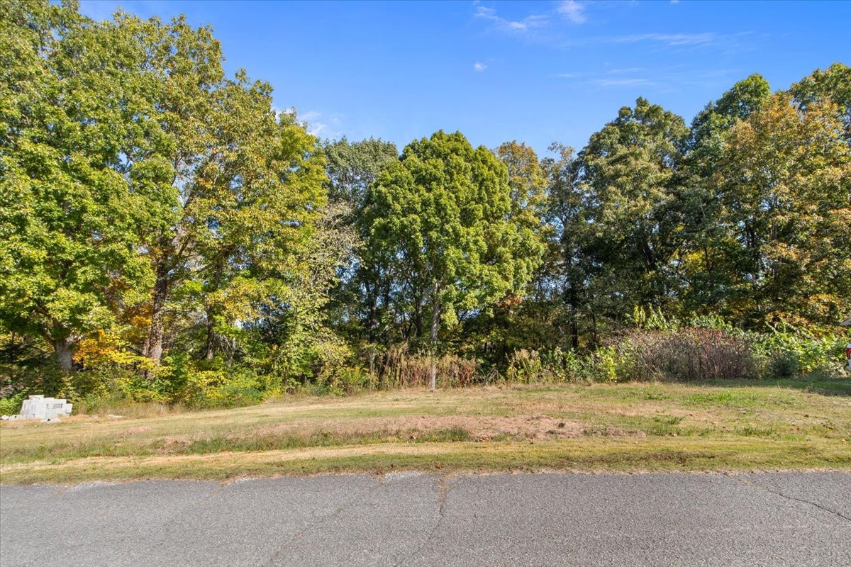 1006 Crestview Court Kingston Springs TN 37082