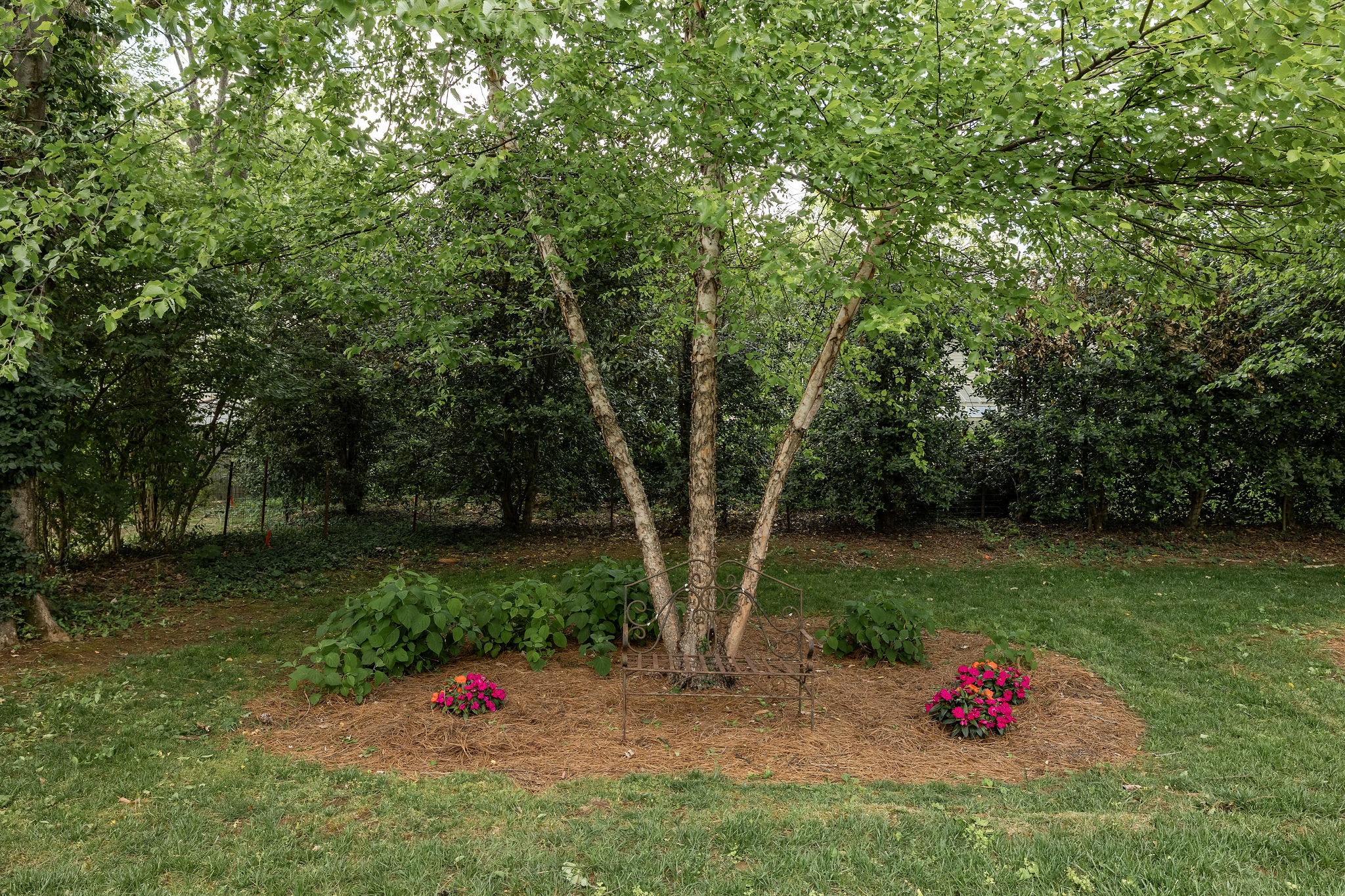 315 Stewart Street Franklin TN 37064