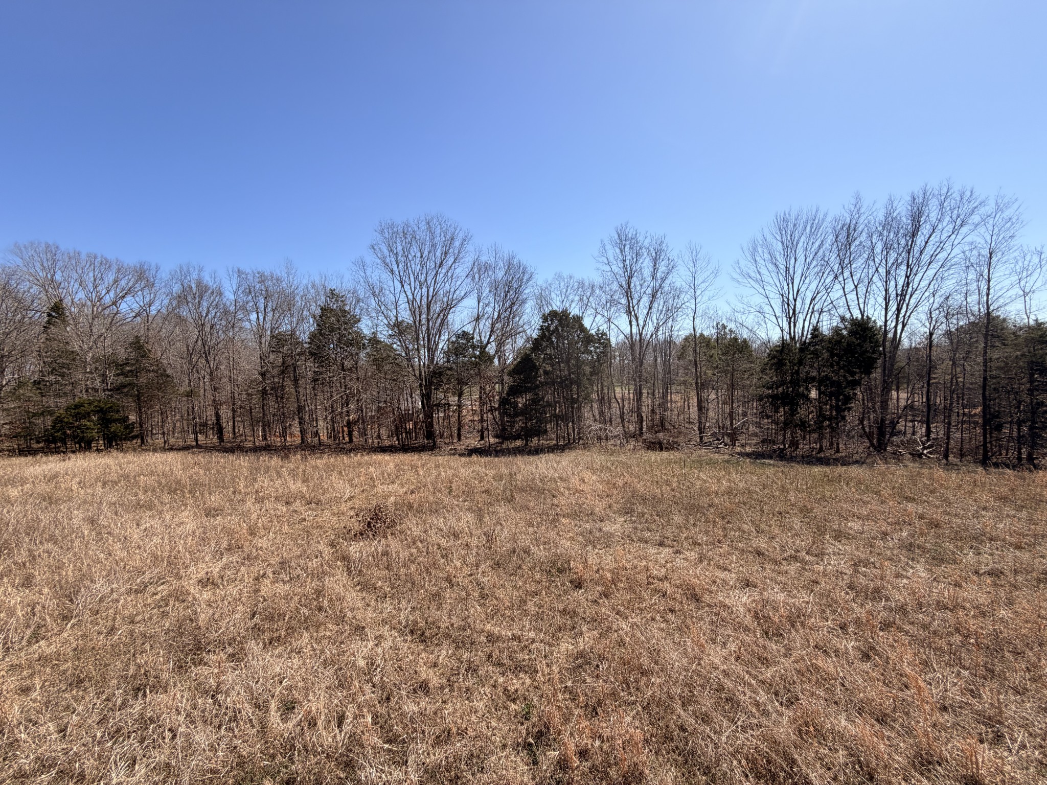 1238 Breeden Road Charlotte TN 37036