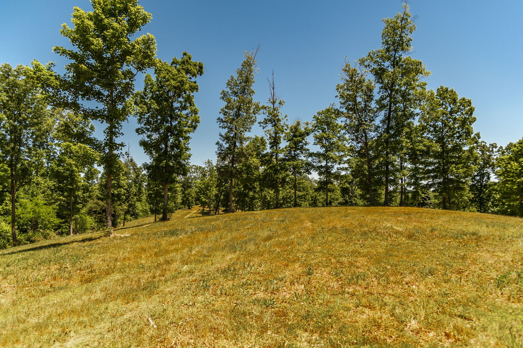 8388 Cub Creek Road Nashville TN 37209