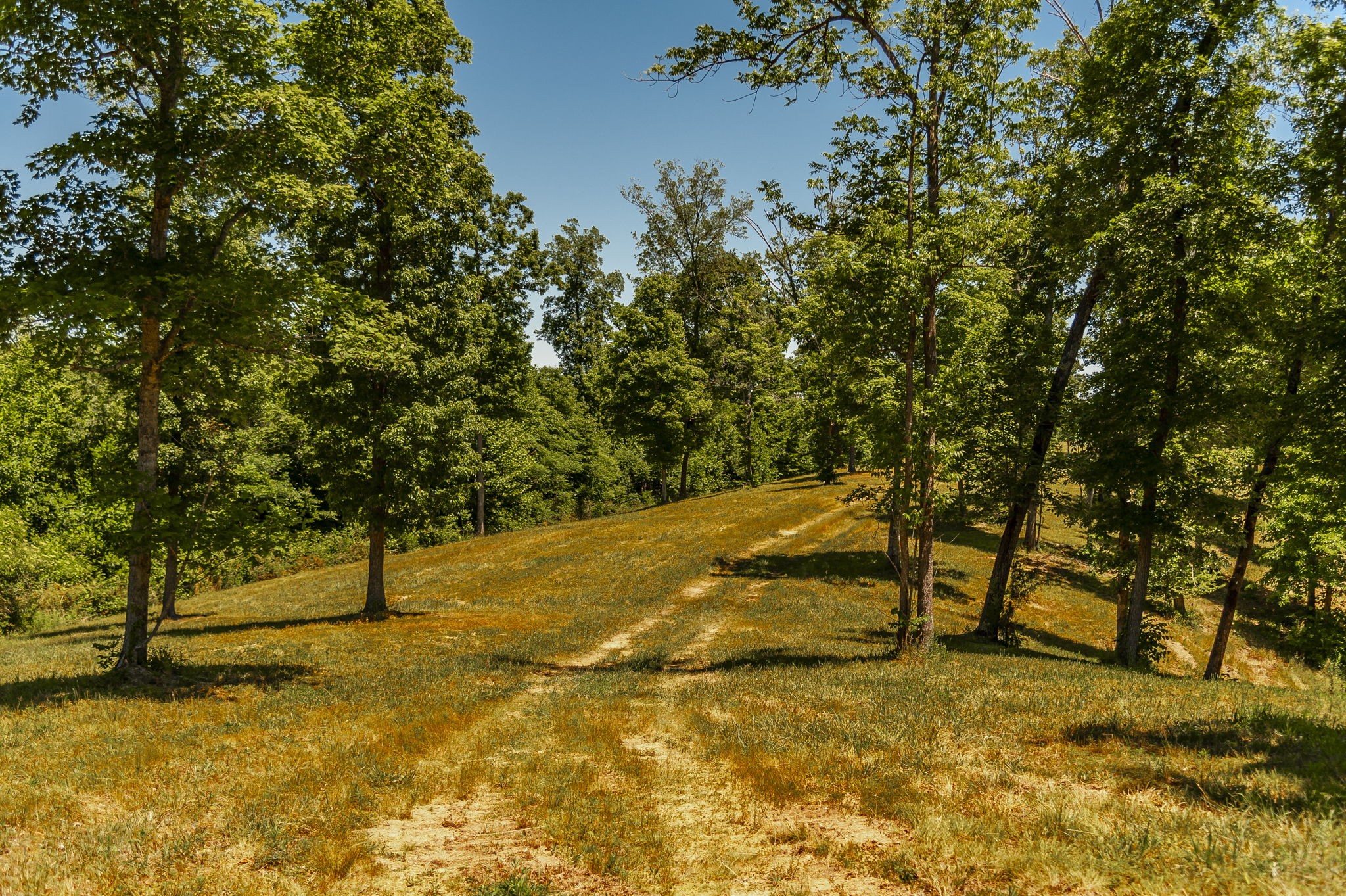 8388 Cub Creek Road Nashville TN 37209