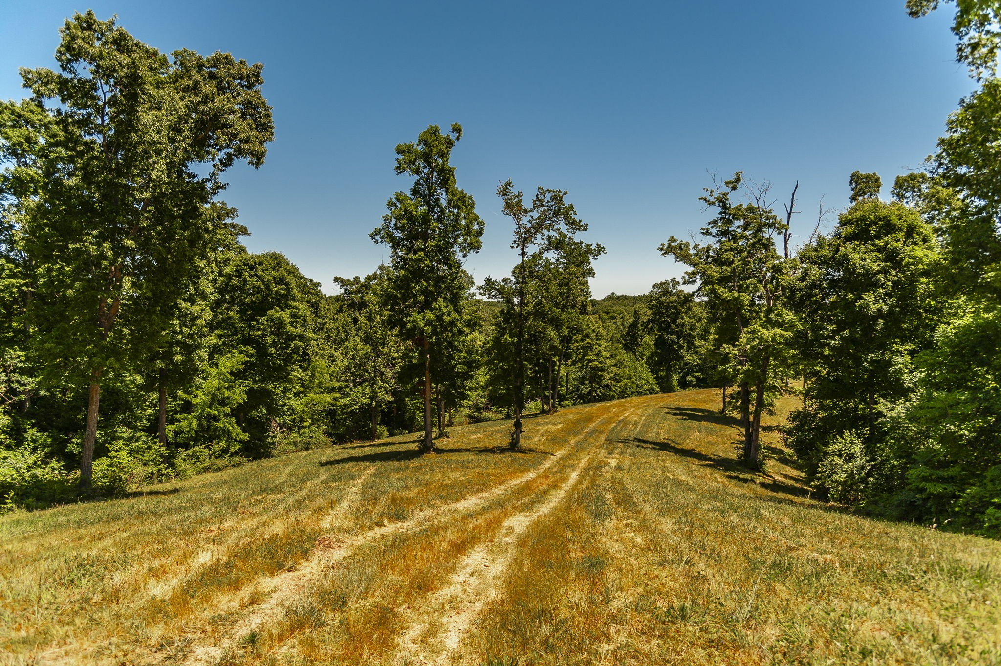 8388 Cub Creek Road Nashville TN 37209