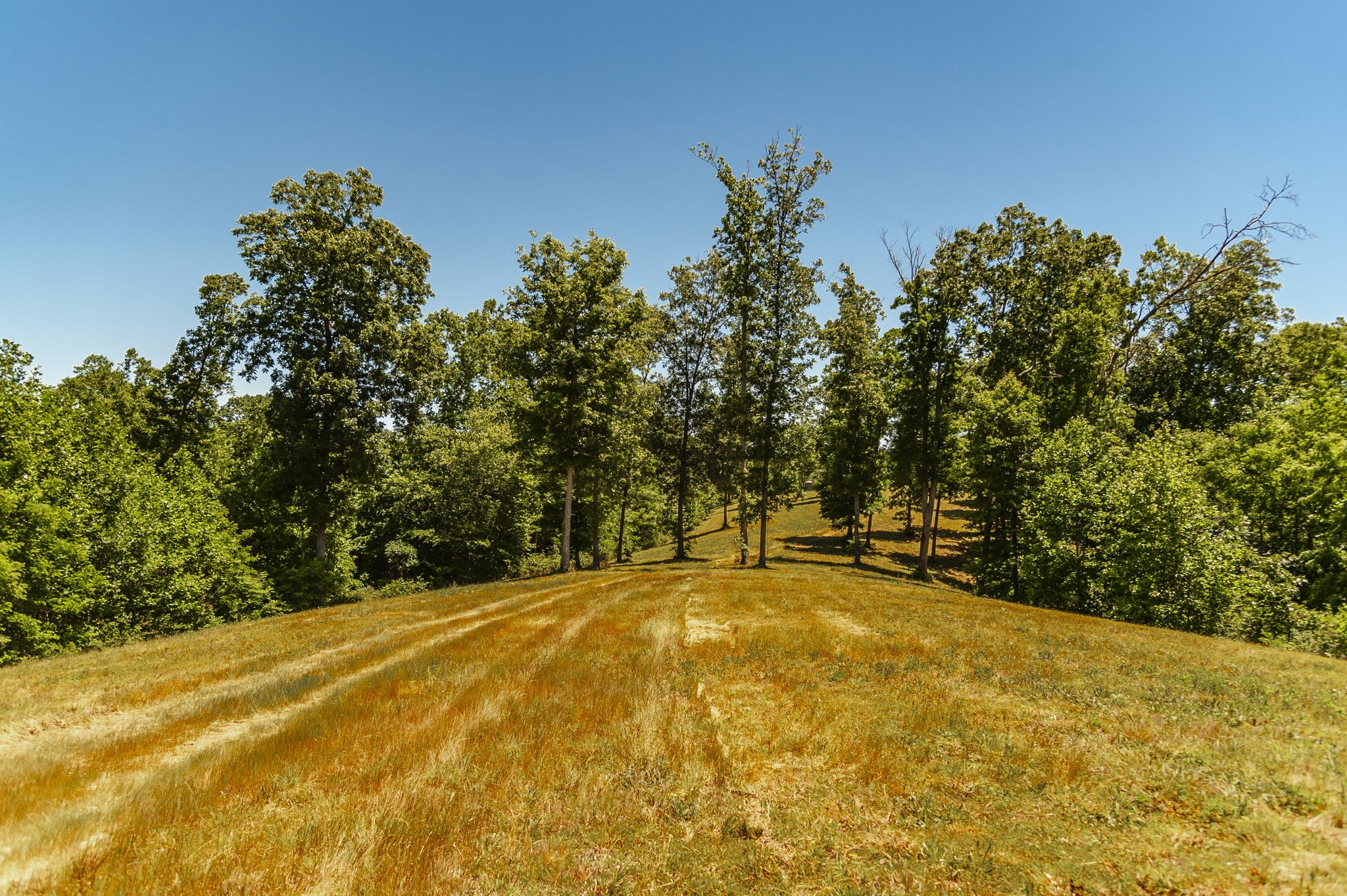 8388 Cub Creek Road Nashville TN 37209
