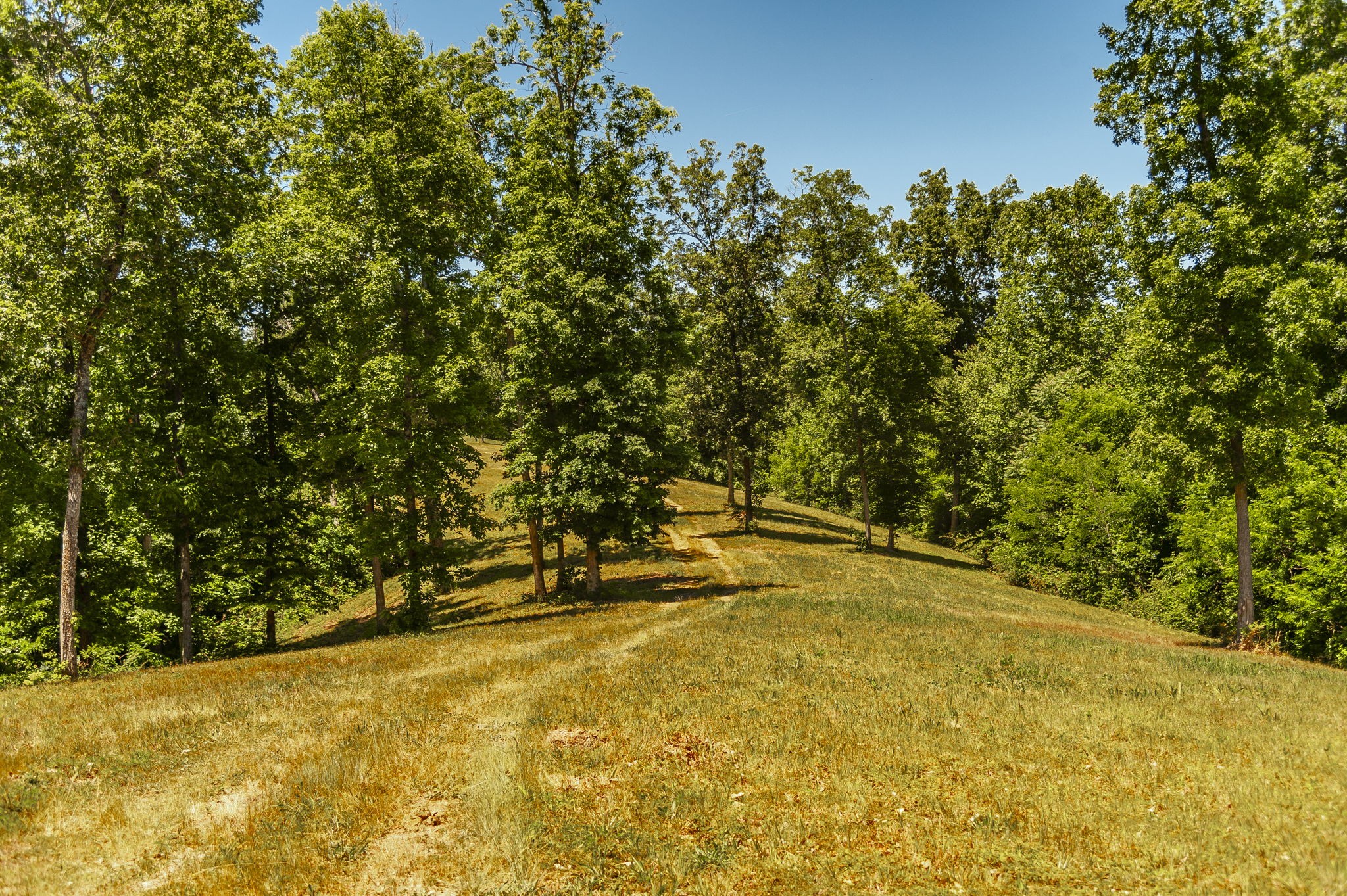 8388 Cub Creek Road Nashville TN 37209