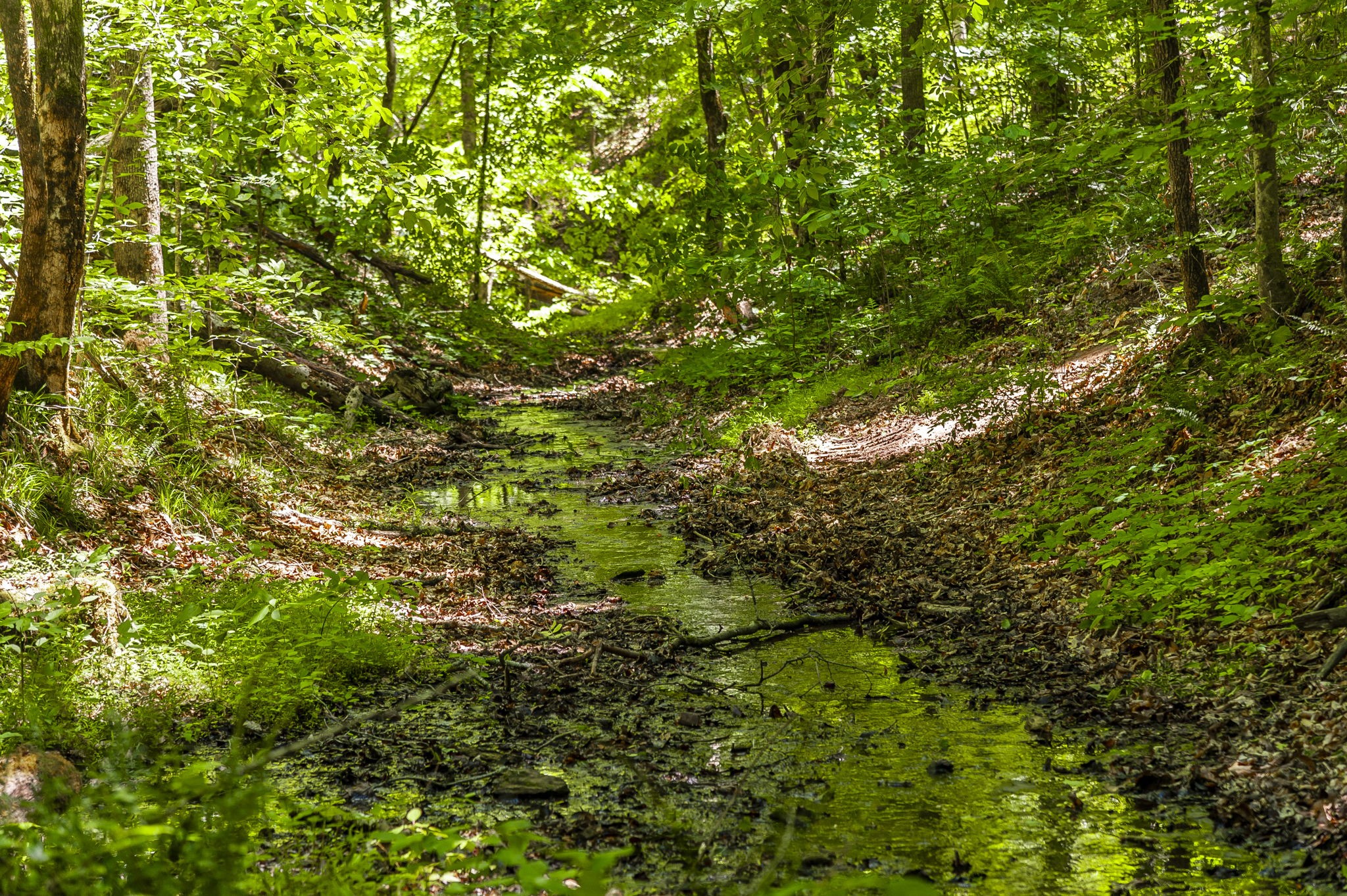 8388 Cub Creek Road Nashville TN 37209
