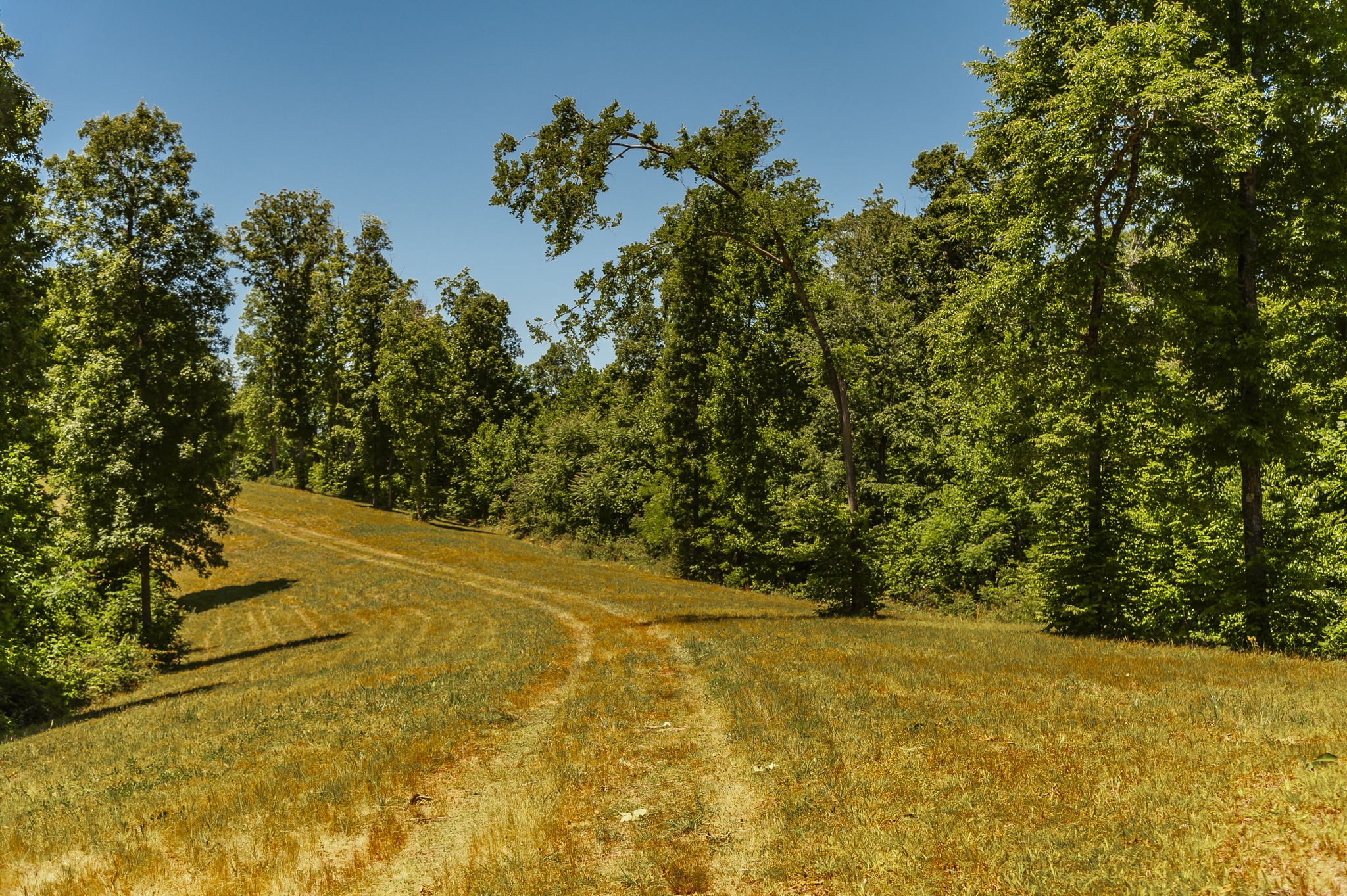 8388 Cub Creek Road Nashville TN 37209