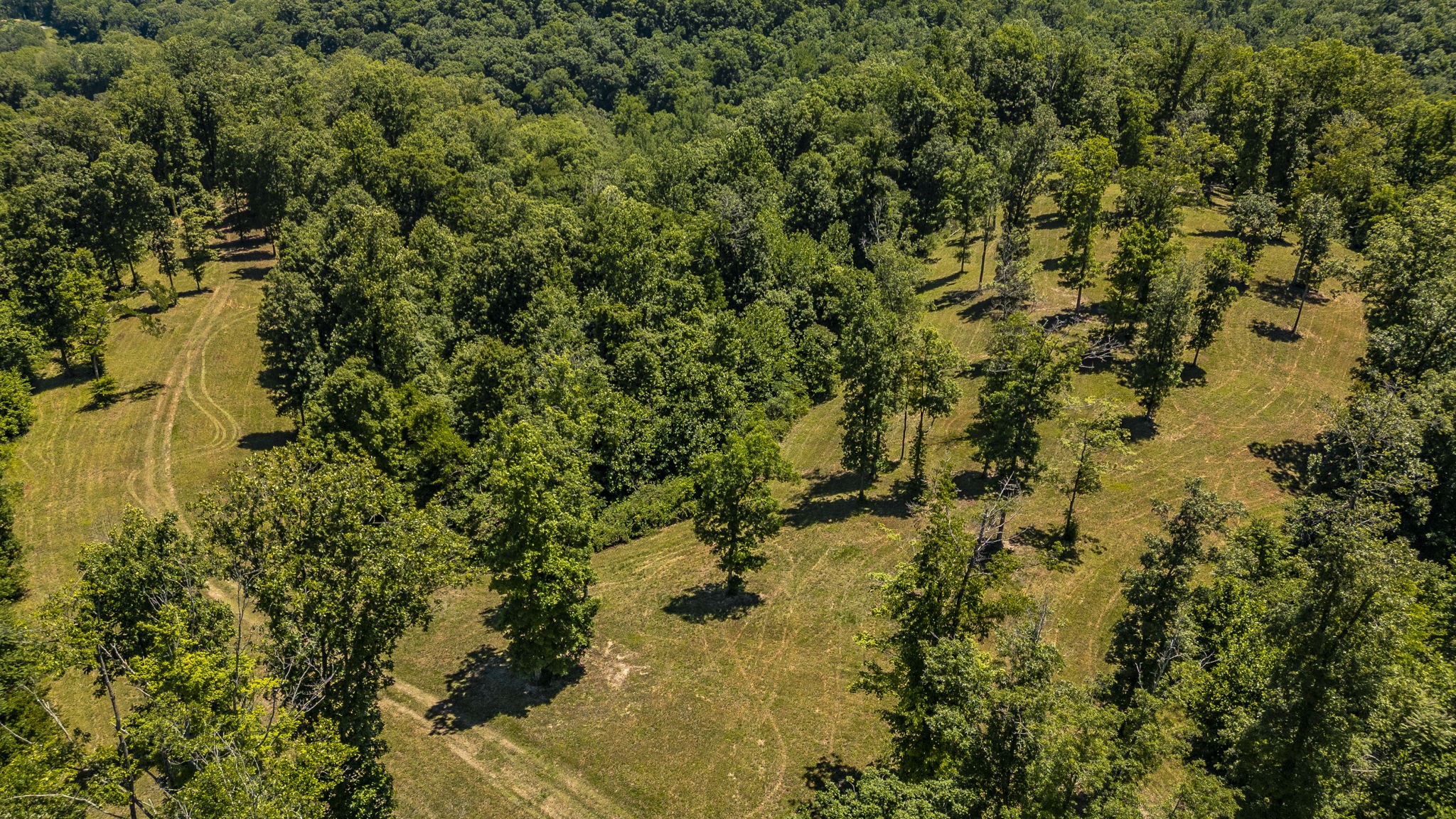 8388 Cub Creek Road Nashville TN 37209
