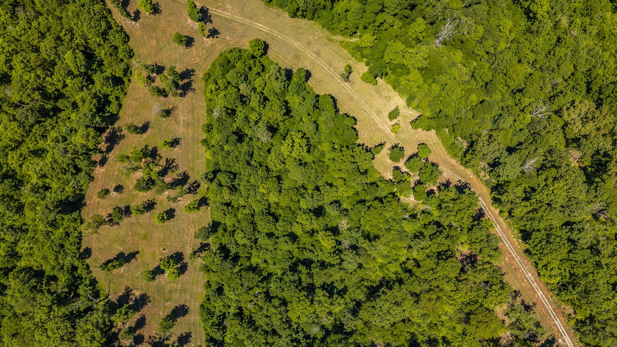 8388 Cub Creek Road Nashville TN 37209