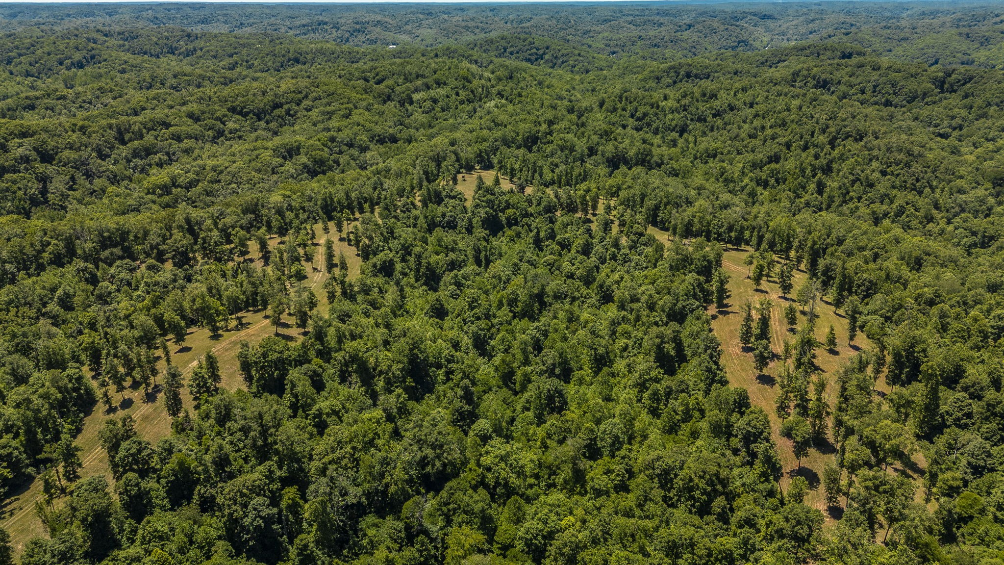 8388 Cub Creek Road Nashville TN 37209
