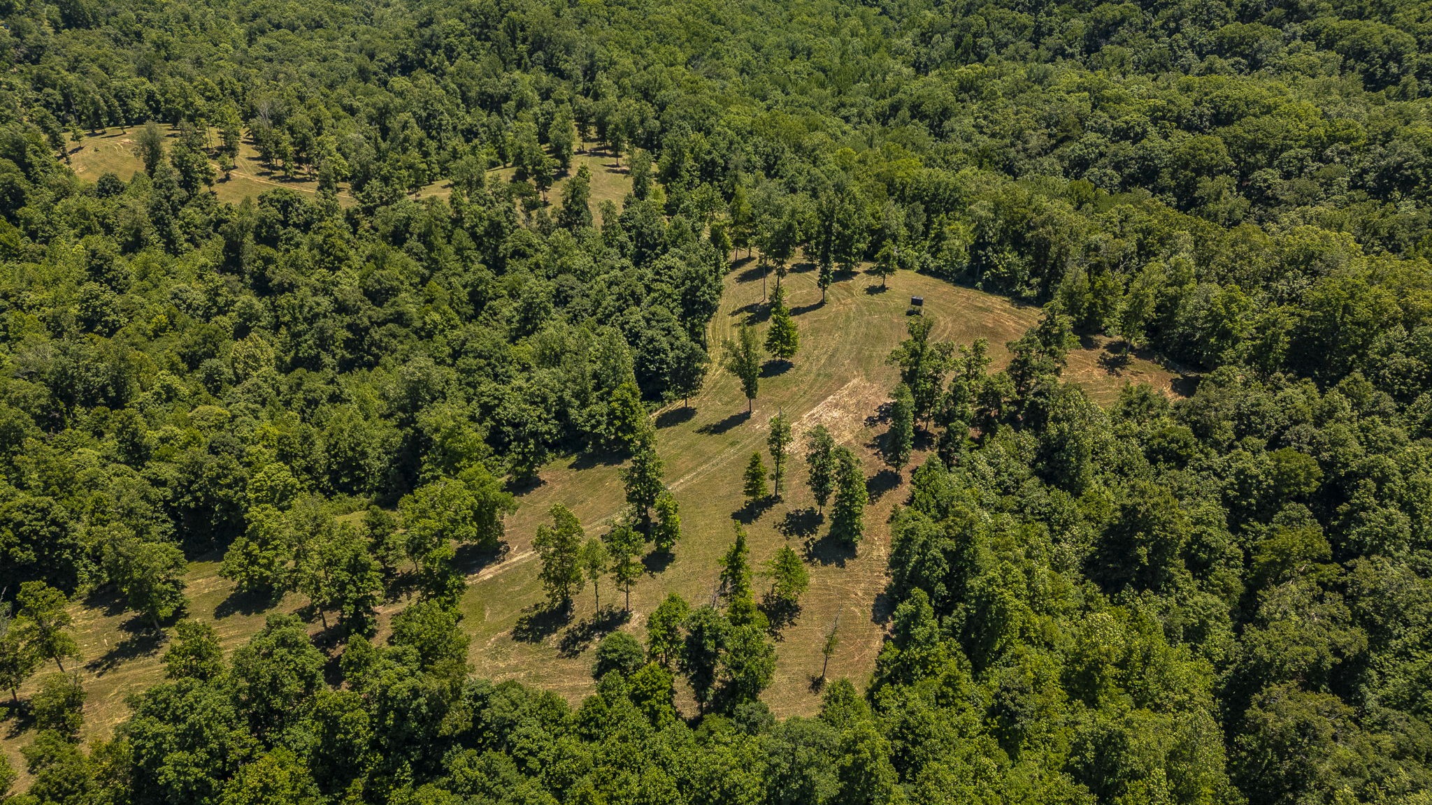 8388 Cub Creek Road Nashville TN 37209