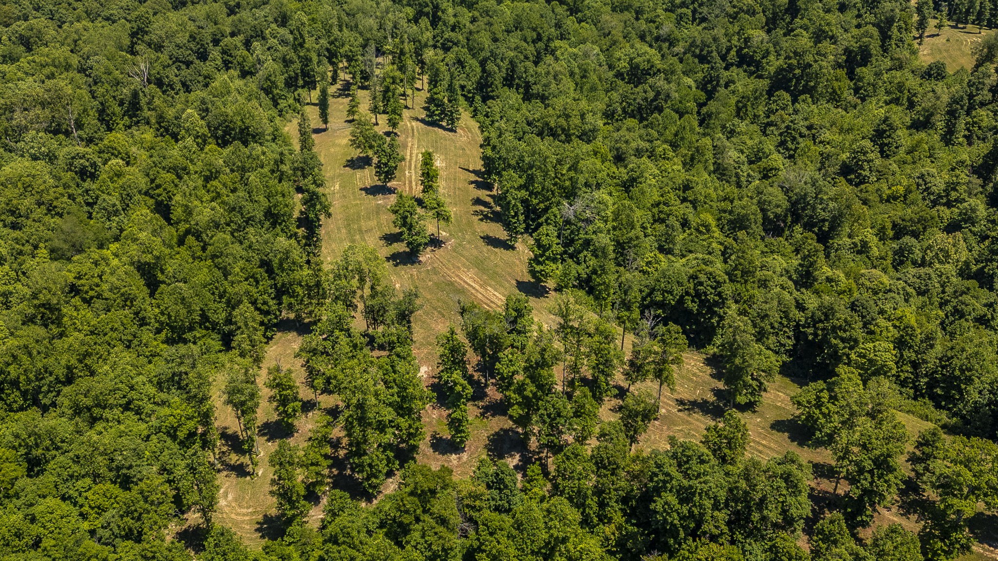 8388 Cub Creek Road Nashville TN 37209