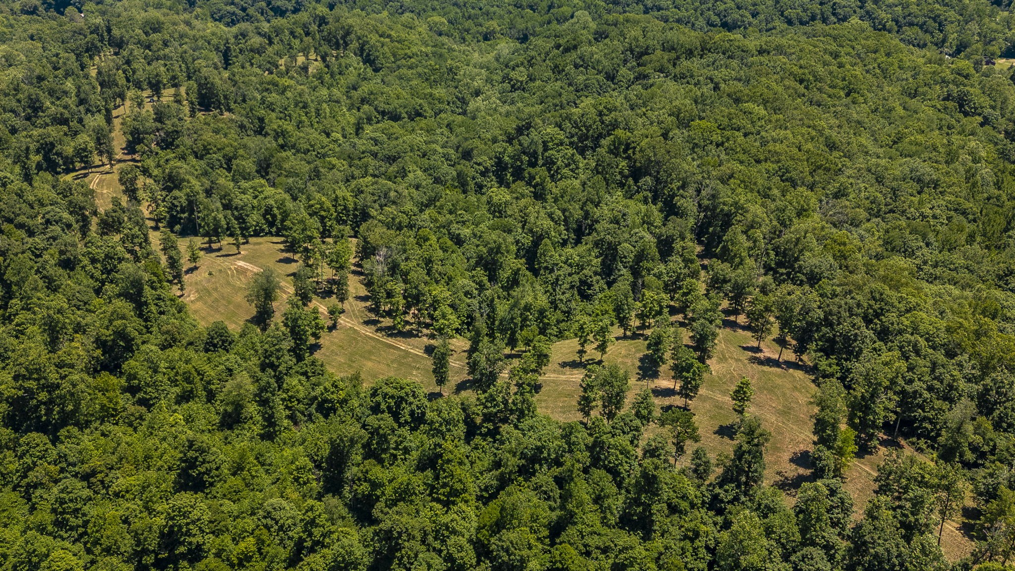 8388 Cub Creek Road Nashville TN 37209