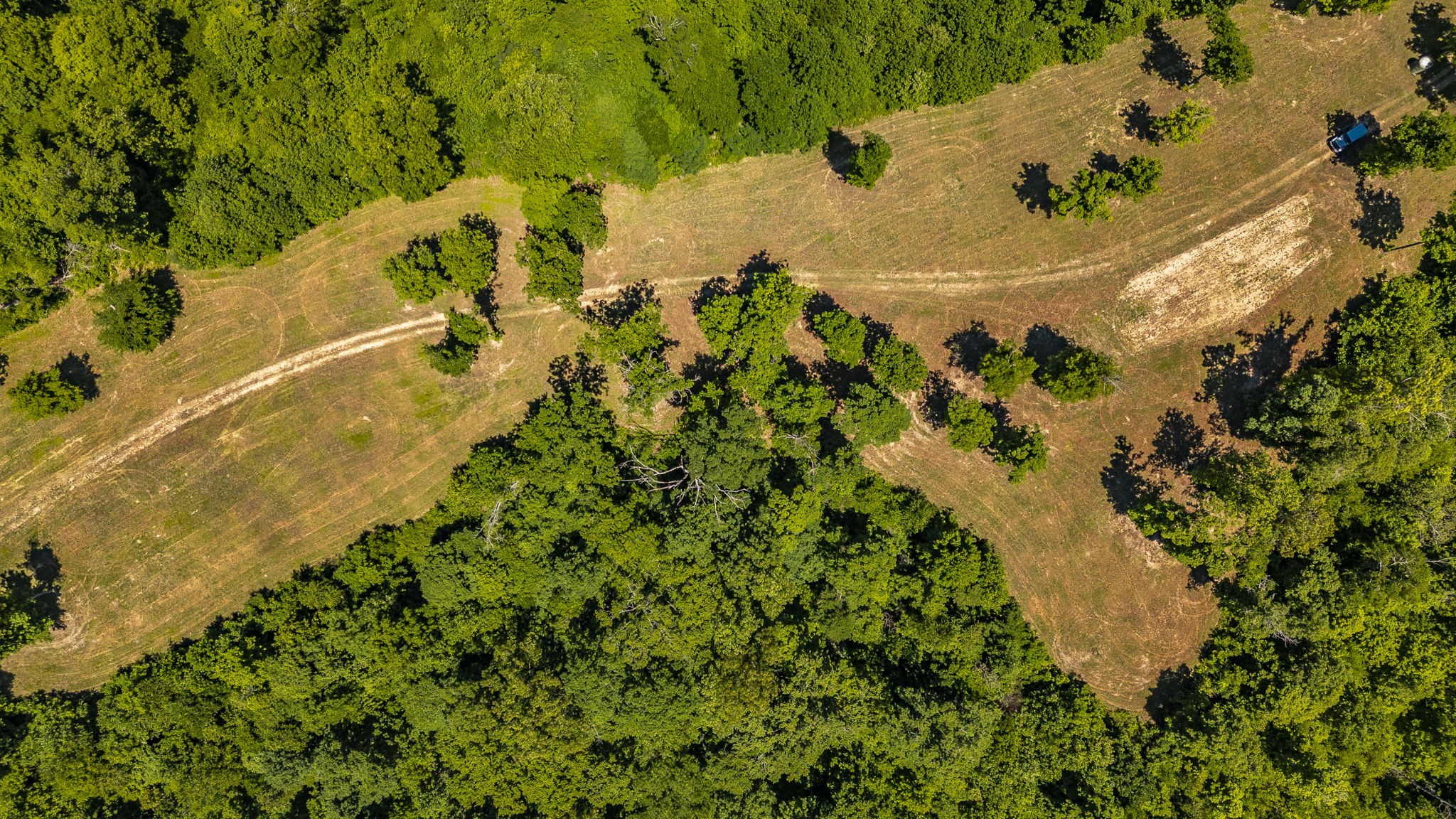 8388 Cub Creek Road Nashville TN 37209
