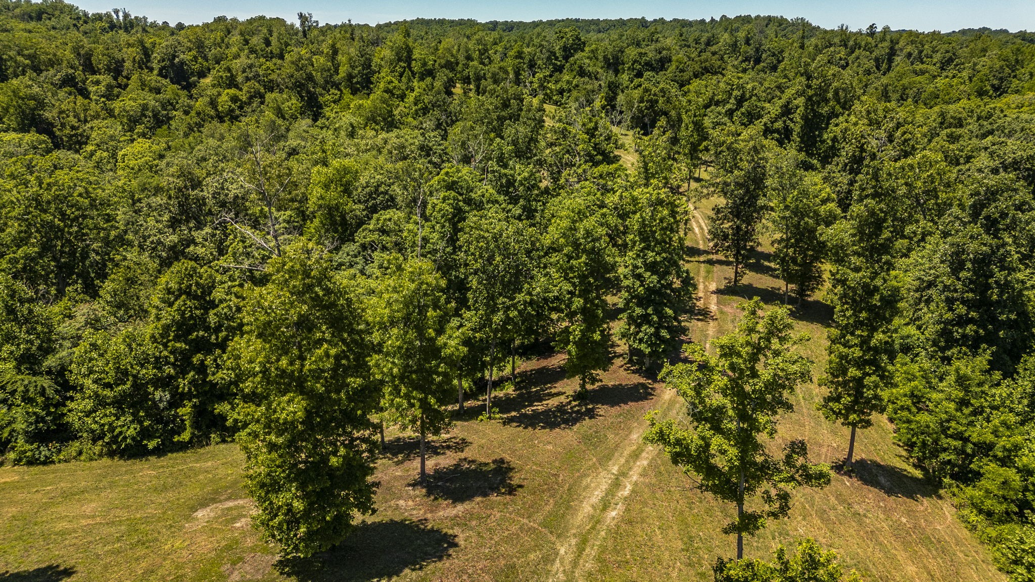 8388 Cub Creek Road Nashville TN 37209